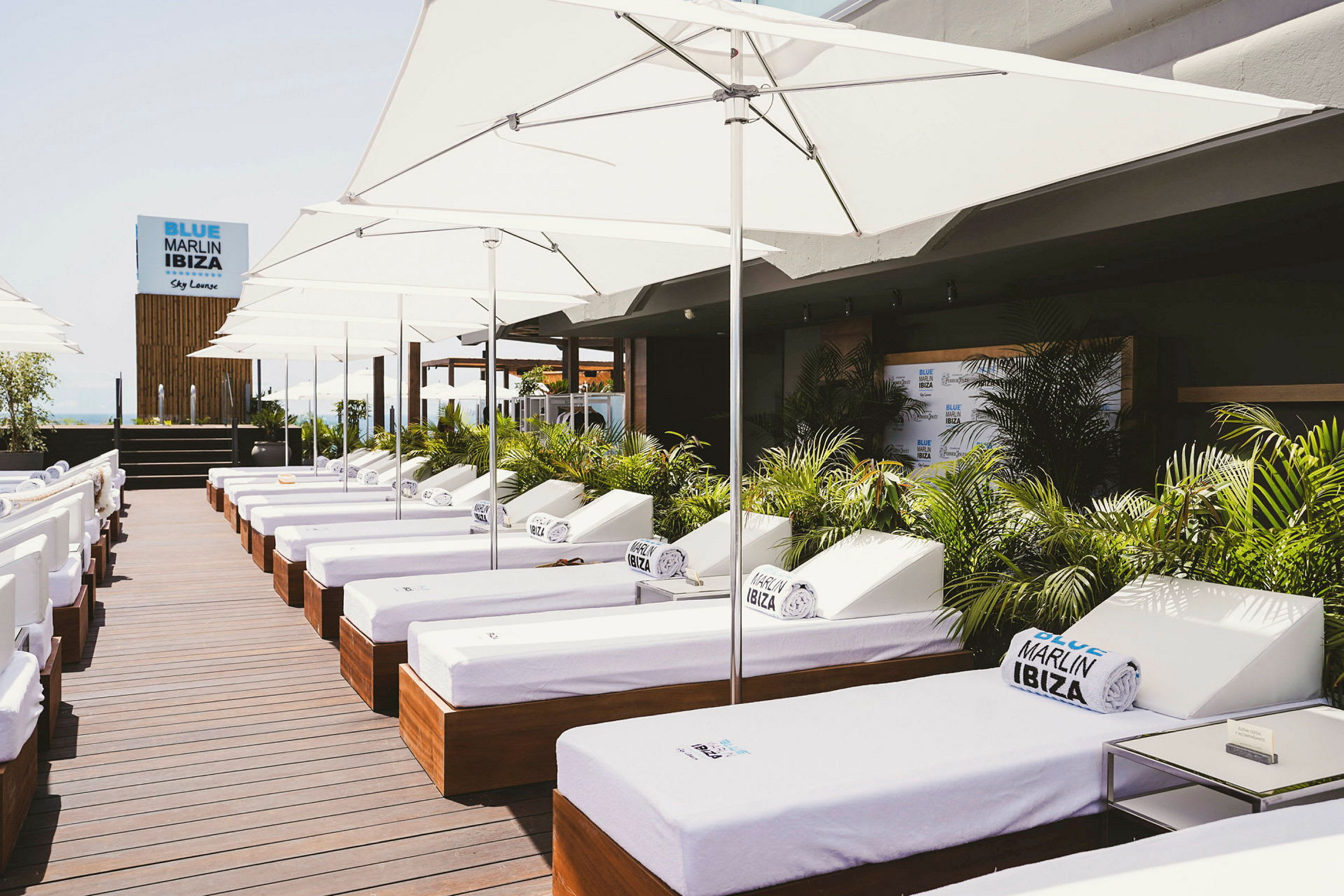 Solstolar med vita madrasser och parasoller vid Blue Marlin Ibiza. (AI-genererad text)