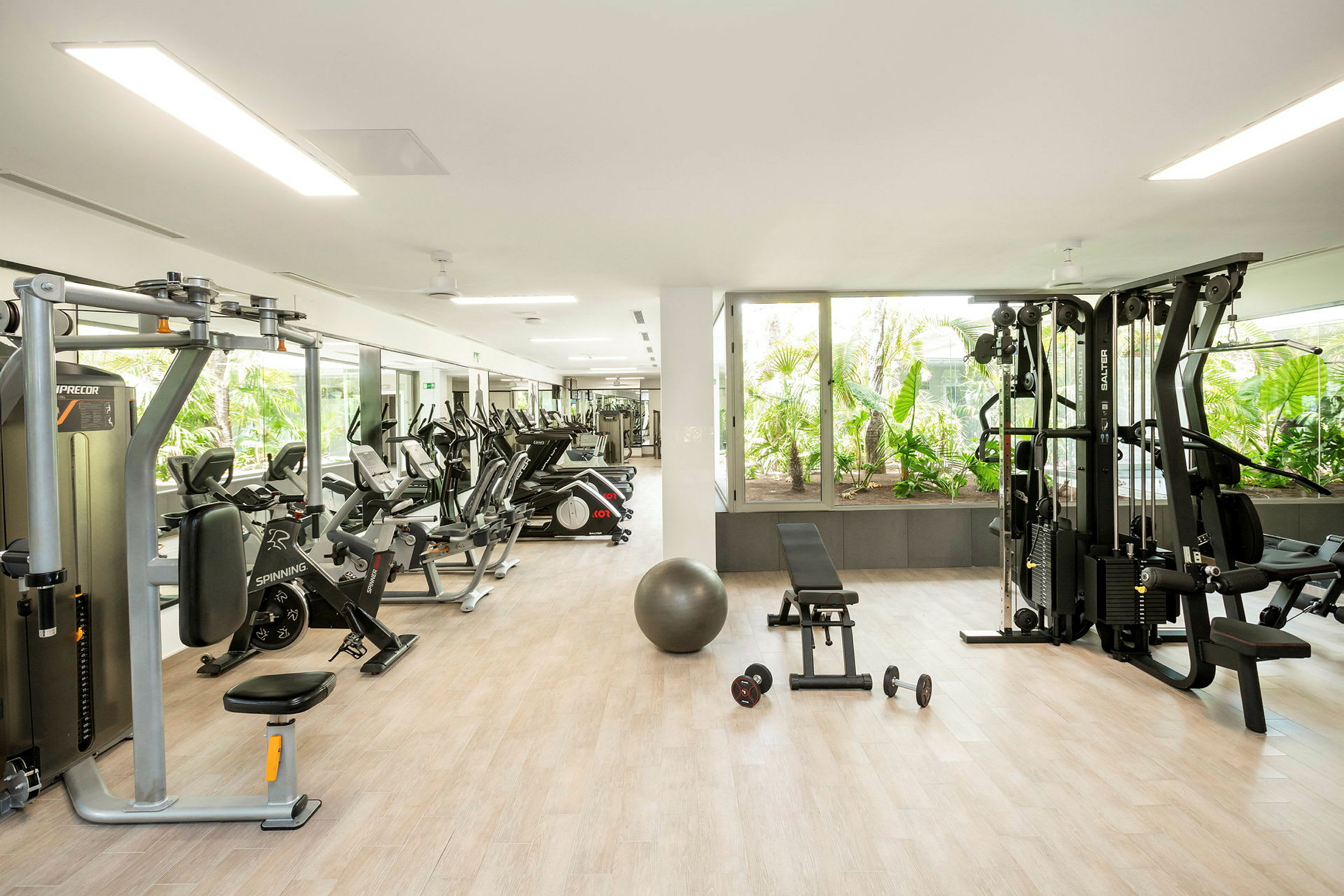 Ett modernt gym med olika träningsmaskiner och redskap, samt fönster med utsikt över gröna växter. (AI-genererad text)