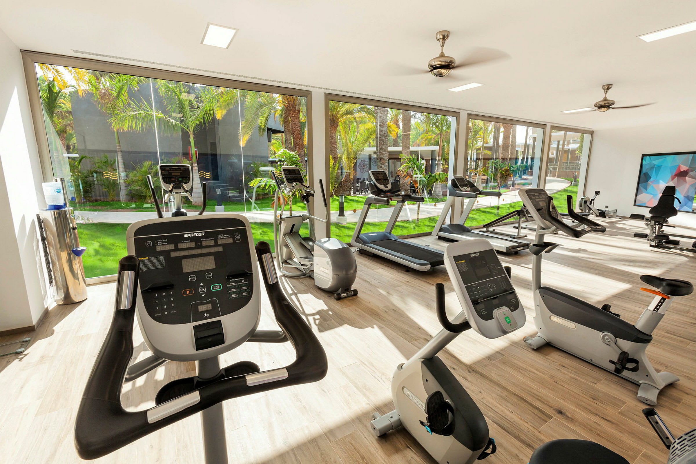 Ett gym med träningsmaskiner, stora fönster och utsikt mot en lummig gård. (AI-genererad text)