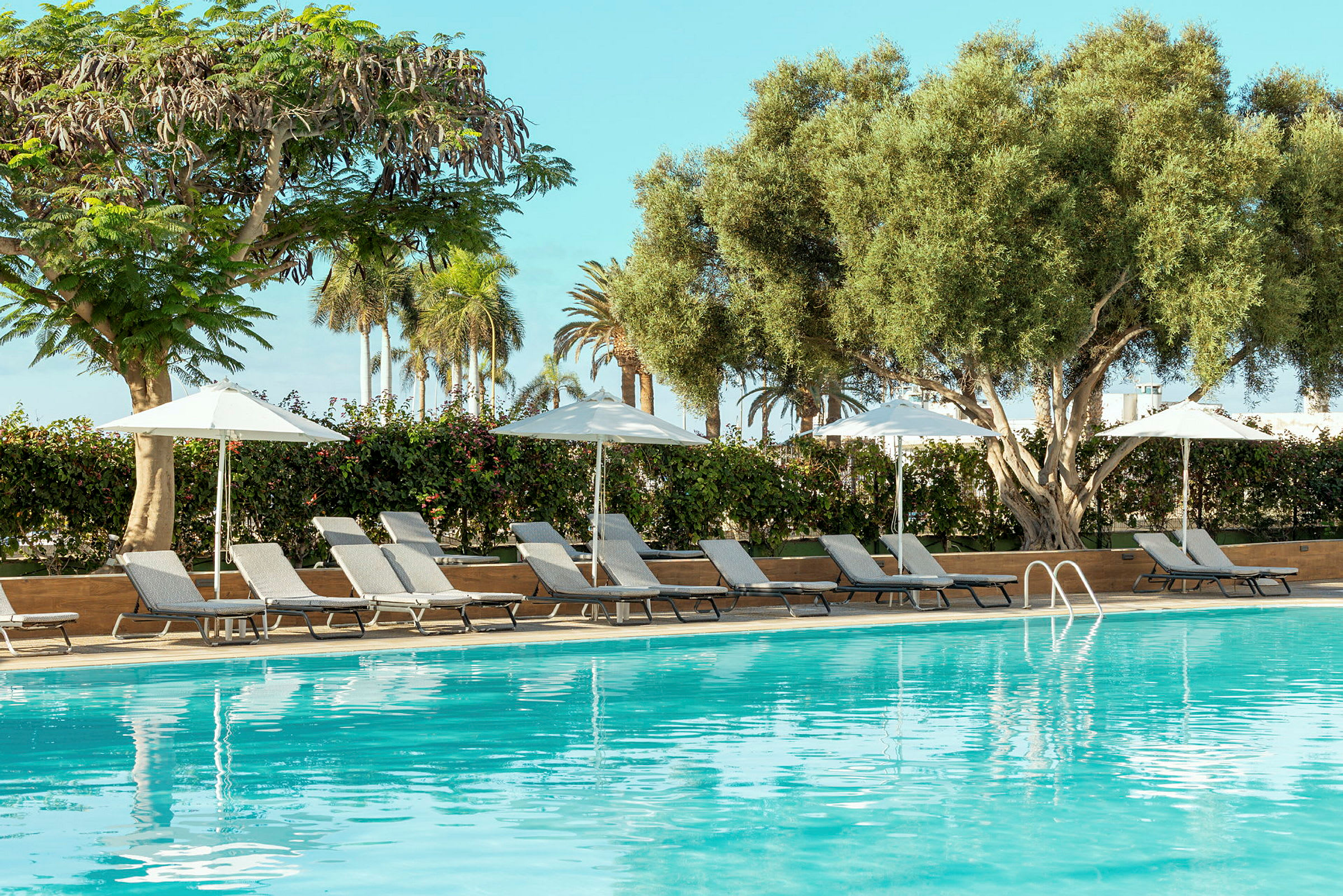 En pool omgiven av solstolar och parasoller samt träd i bakgrunden, med blå himmel ovanför. (AI-genererad text)