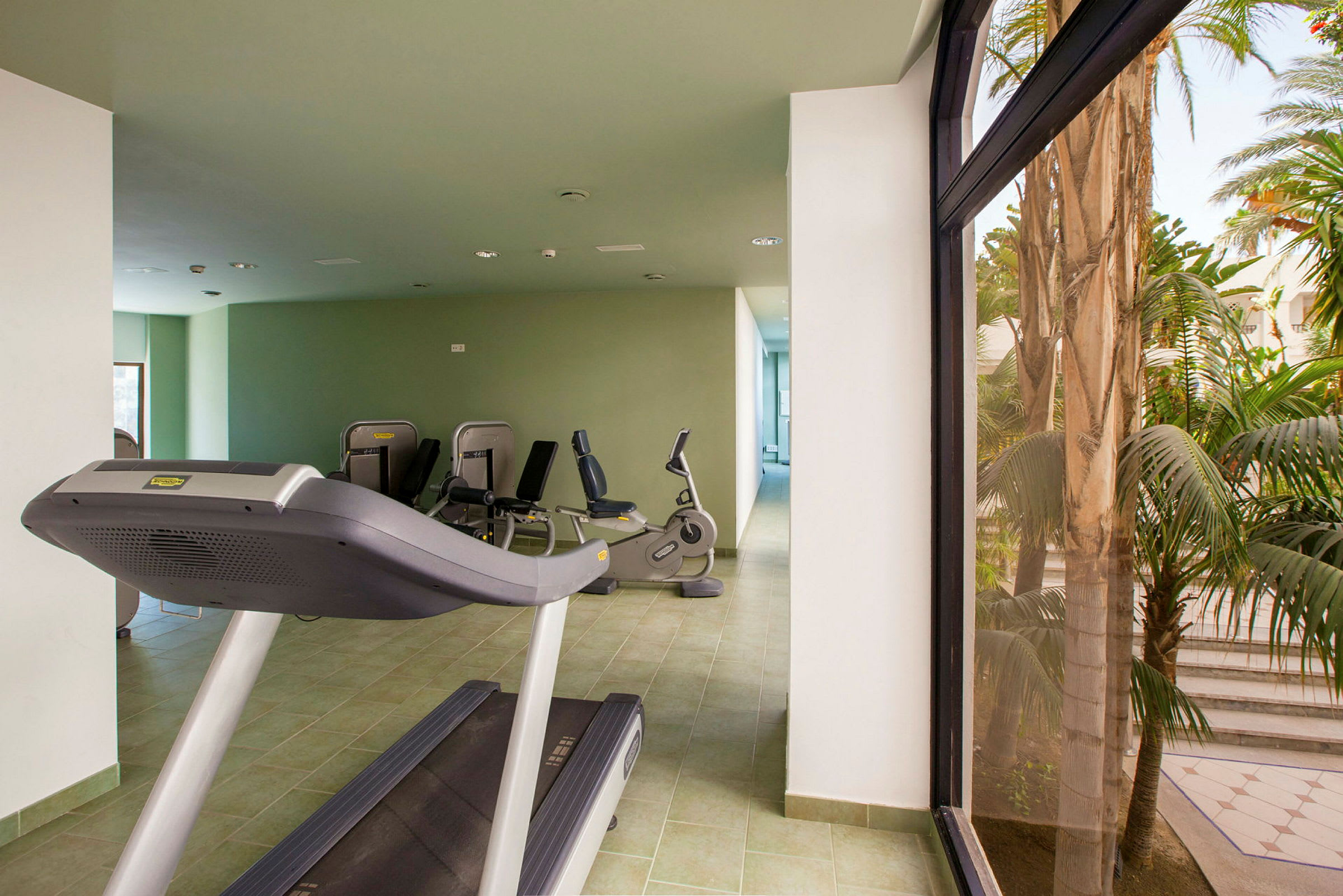 Gym med träningsutrustning och stora fönster med utsikt mot palmer. (AI-genererad text)
