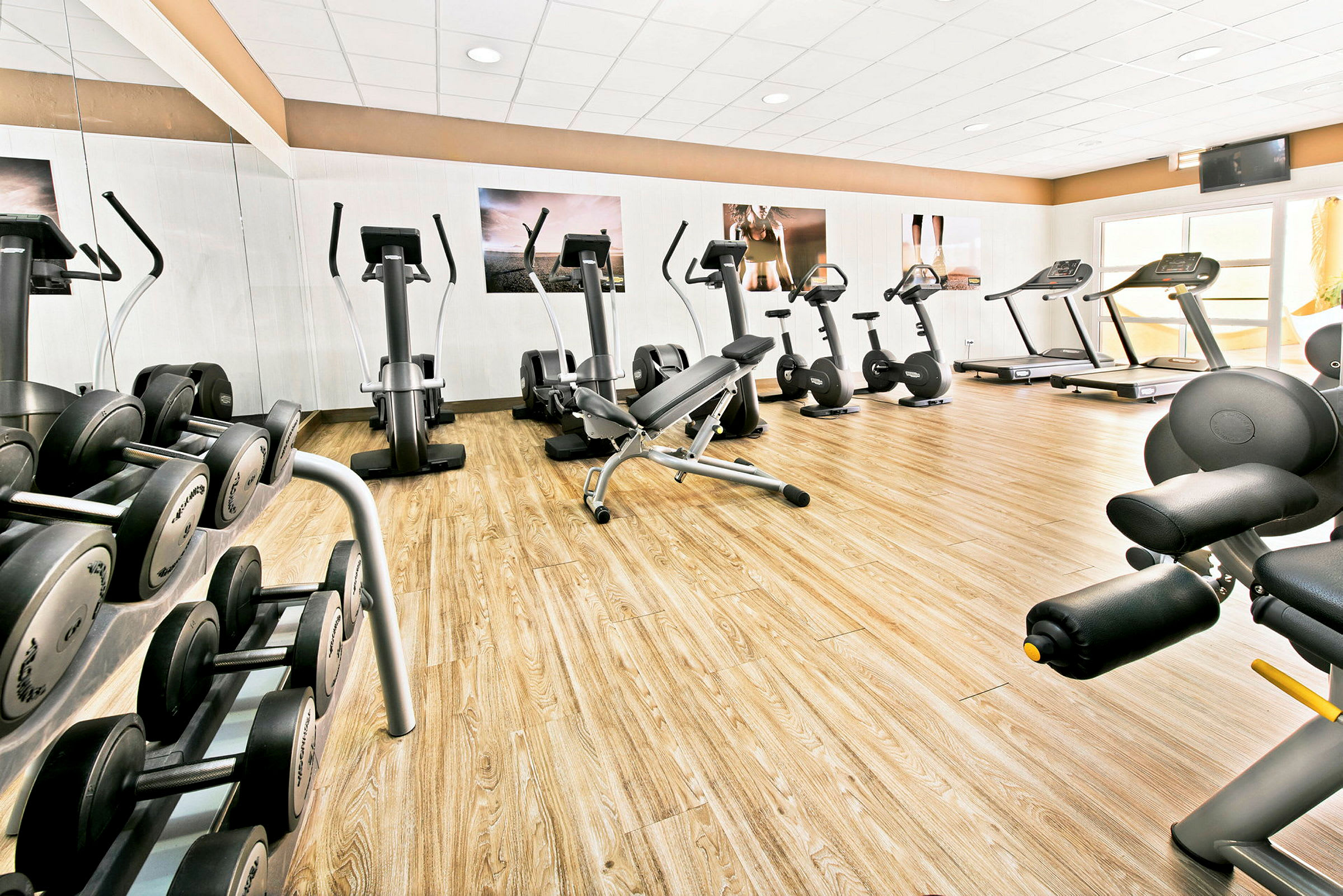 Ett gym med träningsutrustning såsom löpband, cyklar och vikter. (AI-genererad text)