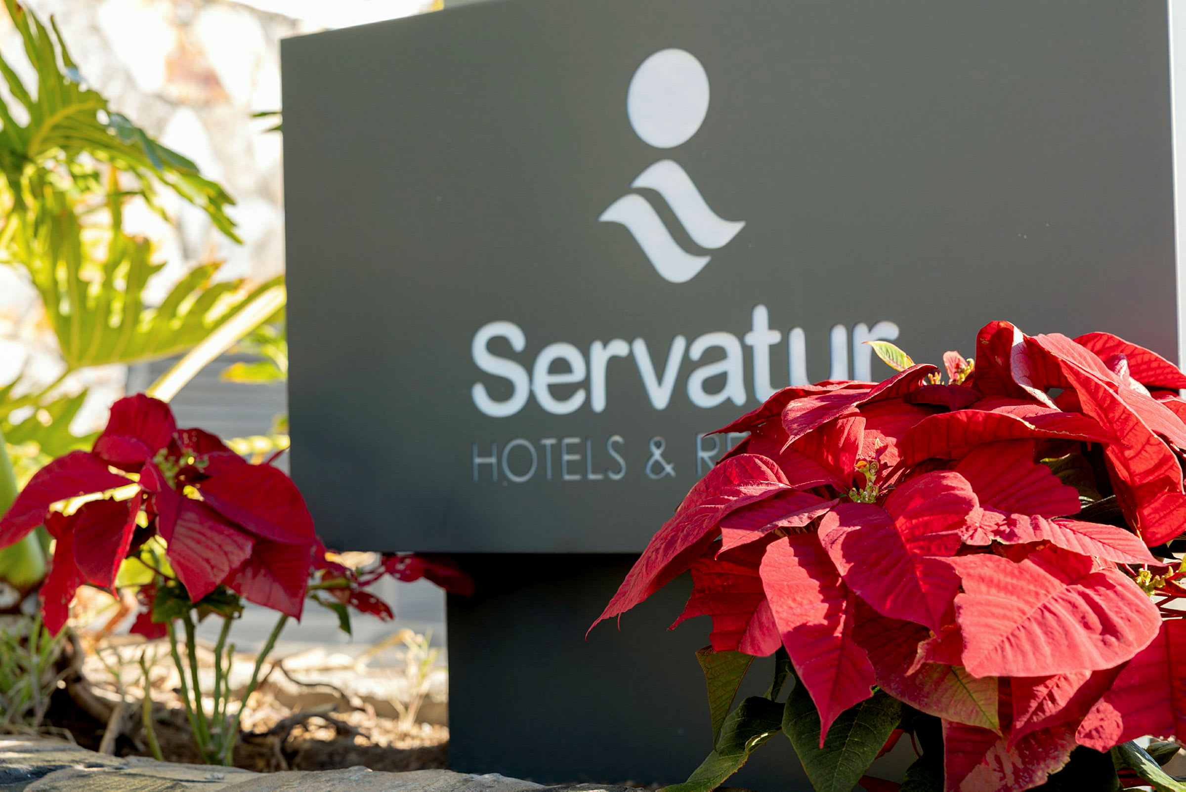 En skylt som visar texten 'Servatur Hotels & Resorts' med röda julstjärnor framför. (AI-genererad text)
