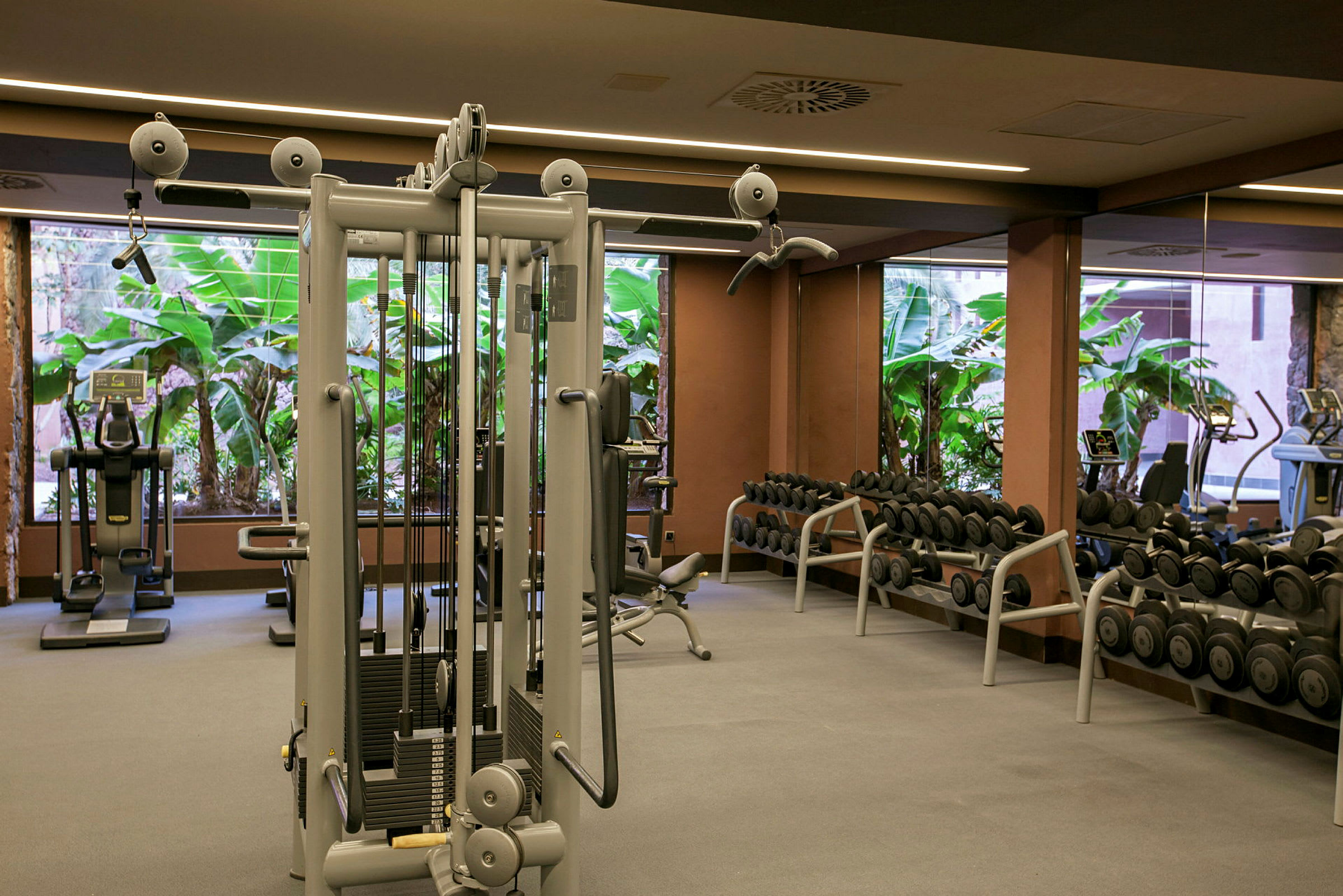 Ett gym med träningsutrustning såsom vikter, maskiner och speglar, med fönster som visar grönska utanför. (AI-genererad text)
