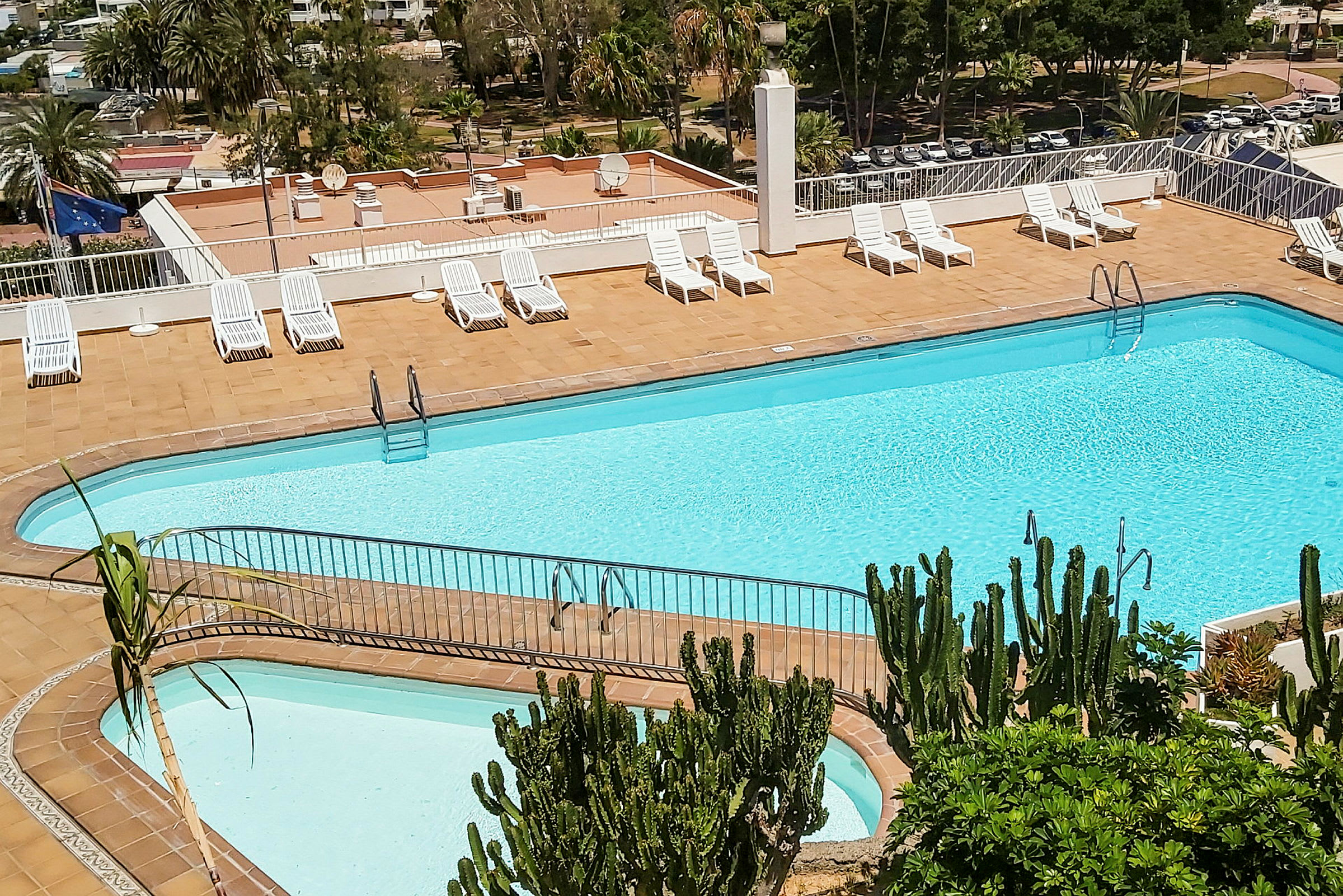 En swimmingpool med solstolar runt om och gröna växter i förgrunden. (AI-genererad text)