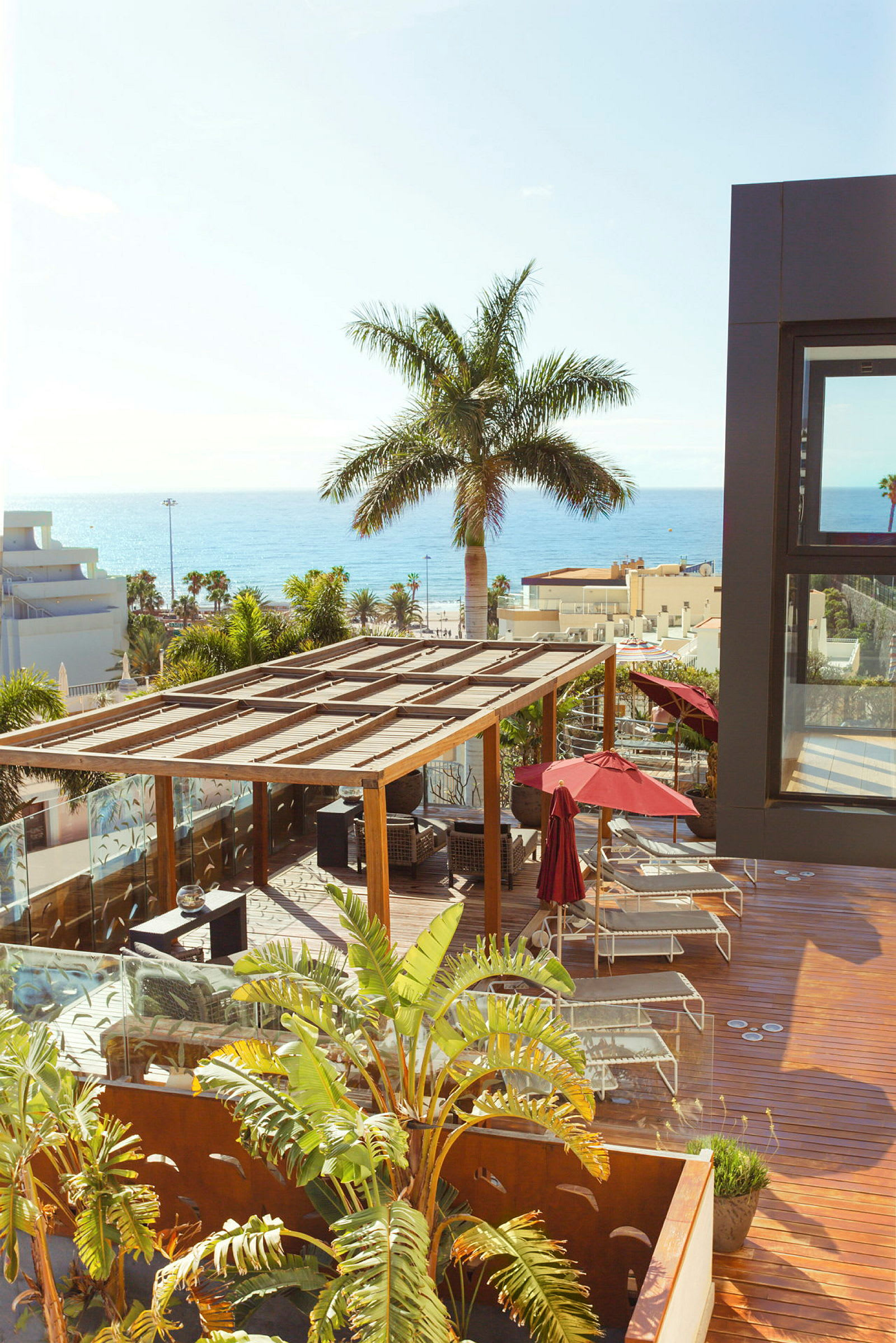 Utsikt över en terrass med pergola, solstolar, parasoller och en stor palm, med havet i bakgrunden. (AI-genererad text)