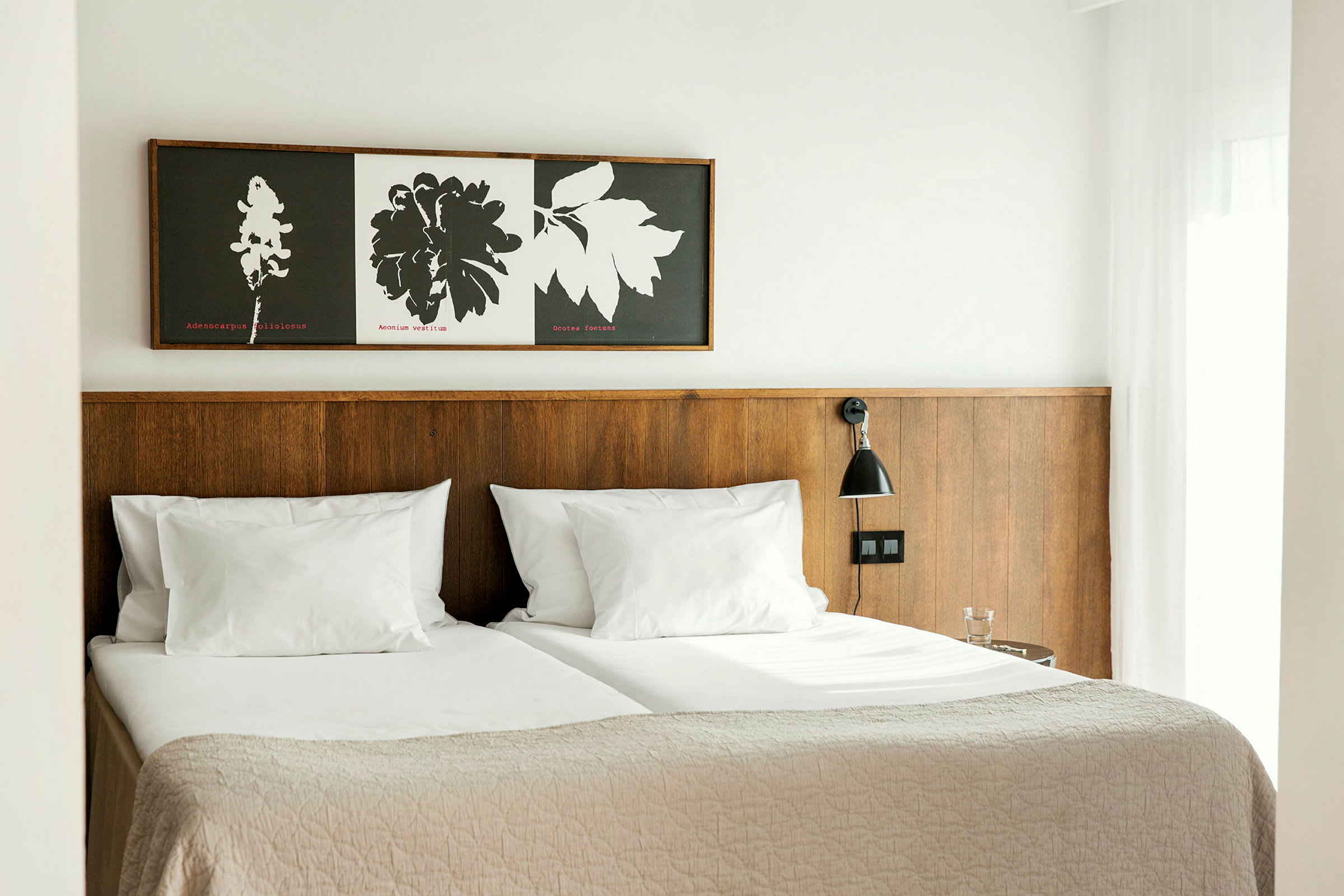 Hotellrum med två enkelsängar, en träpanel bakom sängen, och en vägglampa. (AI-genererad text)