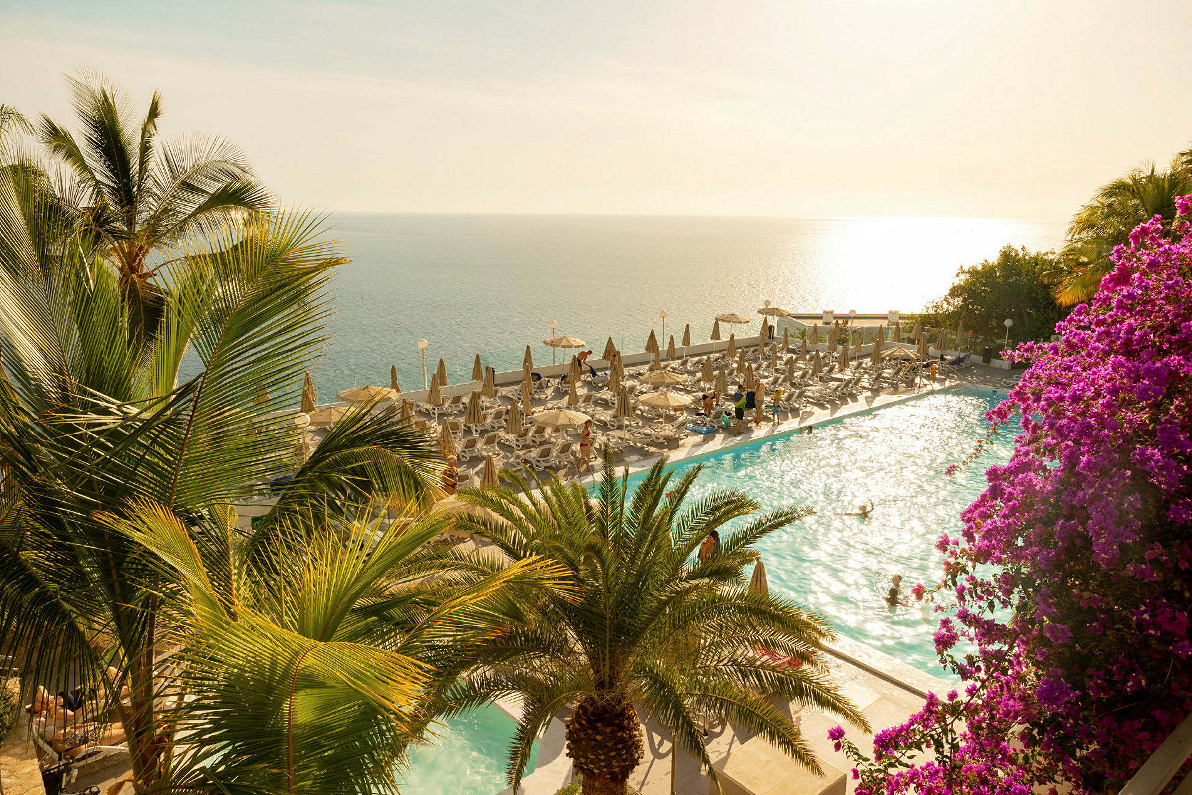 Vy över en pool med parasoller och solstolar, omgiven av palmer och blommor, med havet i bakgrunden. (AI-genererad text)
