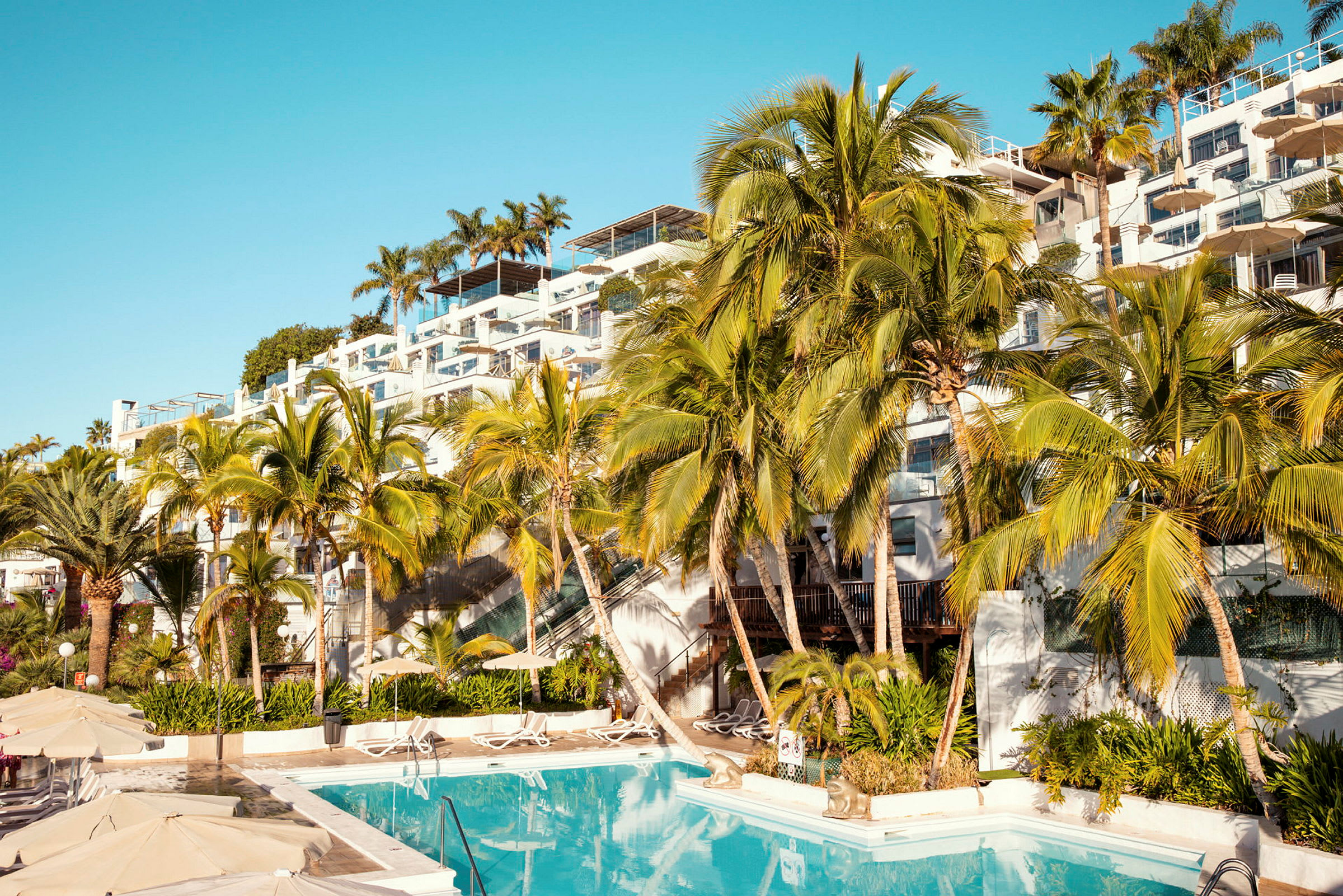 Hotellbyggnad med tropiska palmer och en pool i förgrunden. (AI-genererad text)