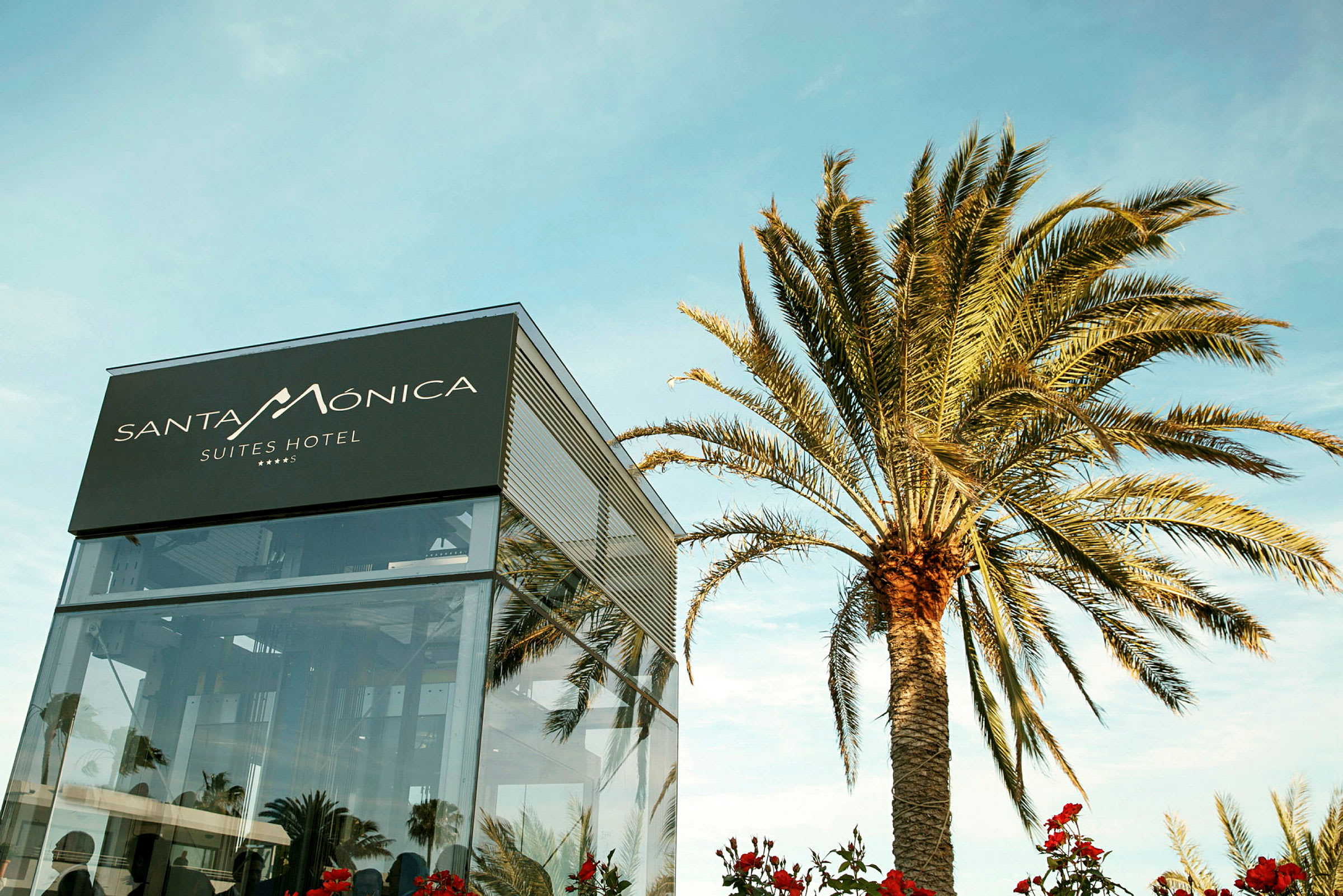 En byggnad med en skylt som säger "Santa Monica Suites Hotel" bredvid en hög palm. (AI-genererad text)