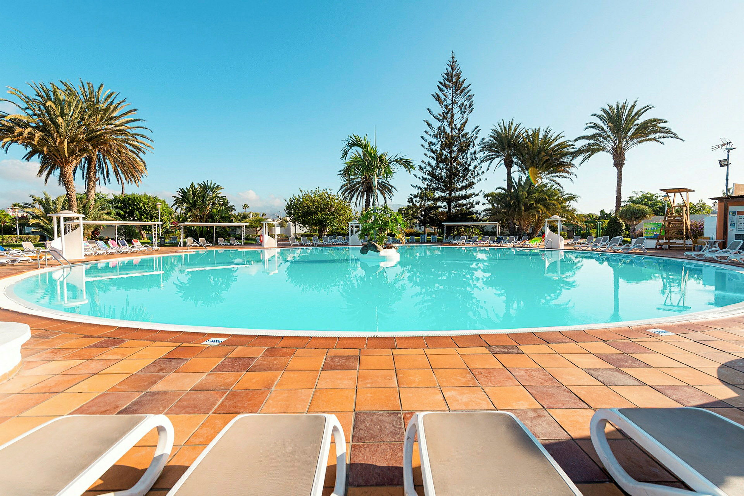 En pool med solstolar runtomkring, omgiven av palmer. (AI-genererad text)