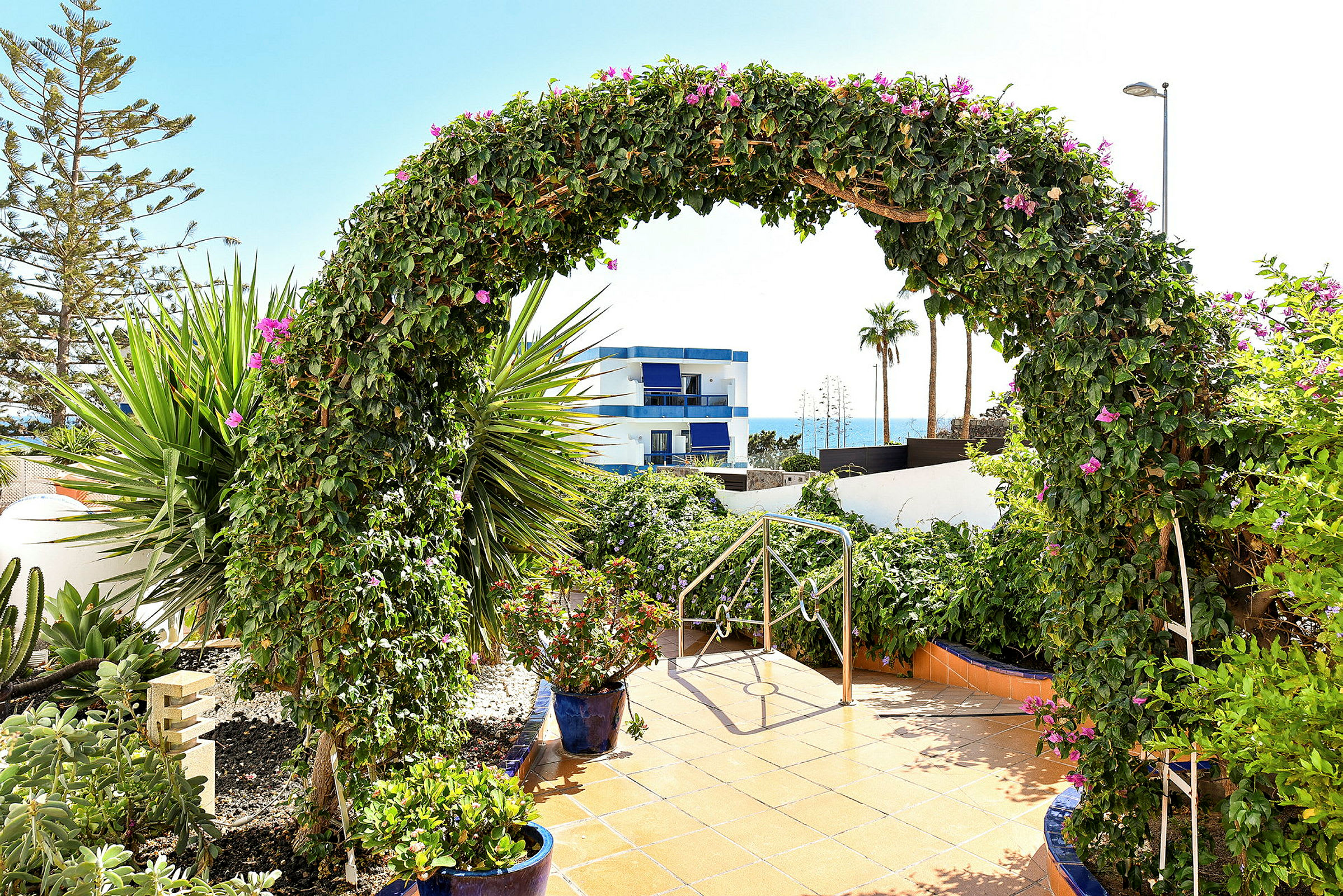 En grön båge av växter med blommor, omgiven av en trädgård. I bakgrunden syns en byggnad, palmer och havet. (AI-genererad text)