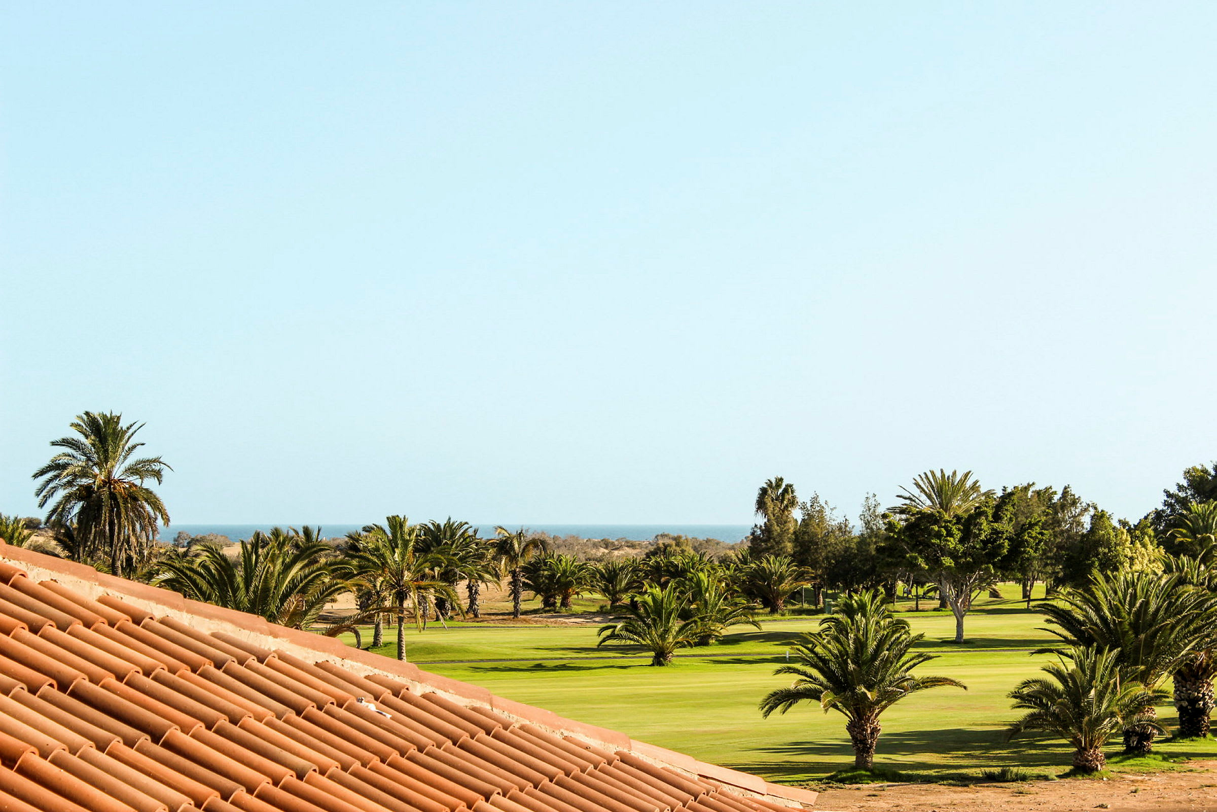 En panoramautsikt över en golfbana med palmer och havet i bakgrunden. (AI-genererad text)