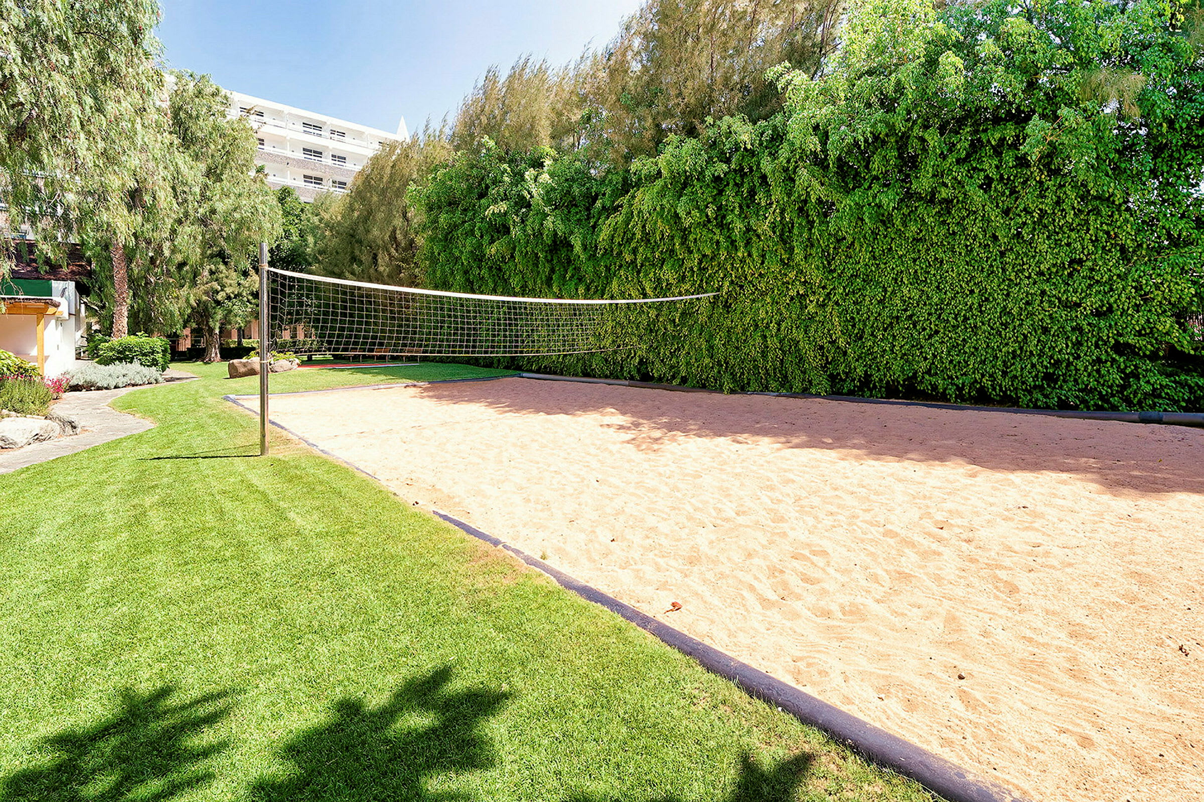 Volleybollplan med sand och nät omgiven av gräsmatta och träd. (AI-genererad text)