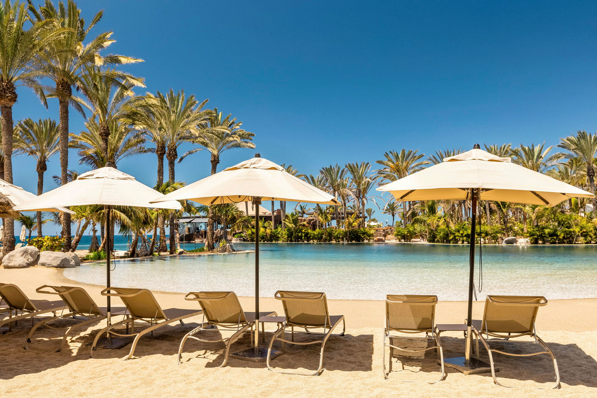Bild av solstolar med parasoll som står uppradade på en sandig strand framför en pool omgiven av palmer. (AI-genererad text)