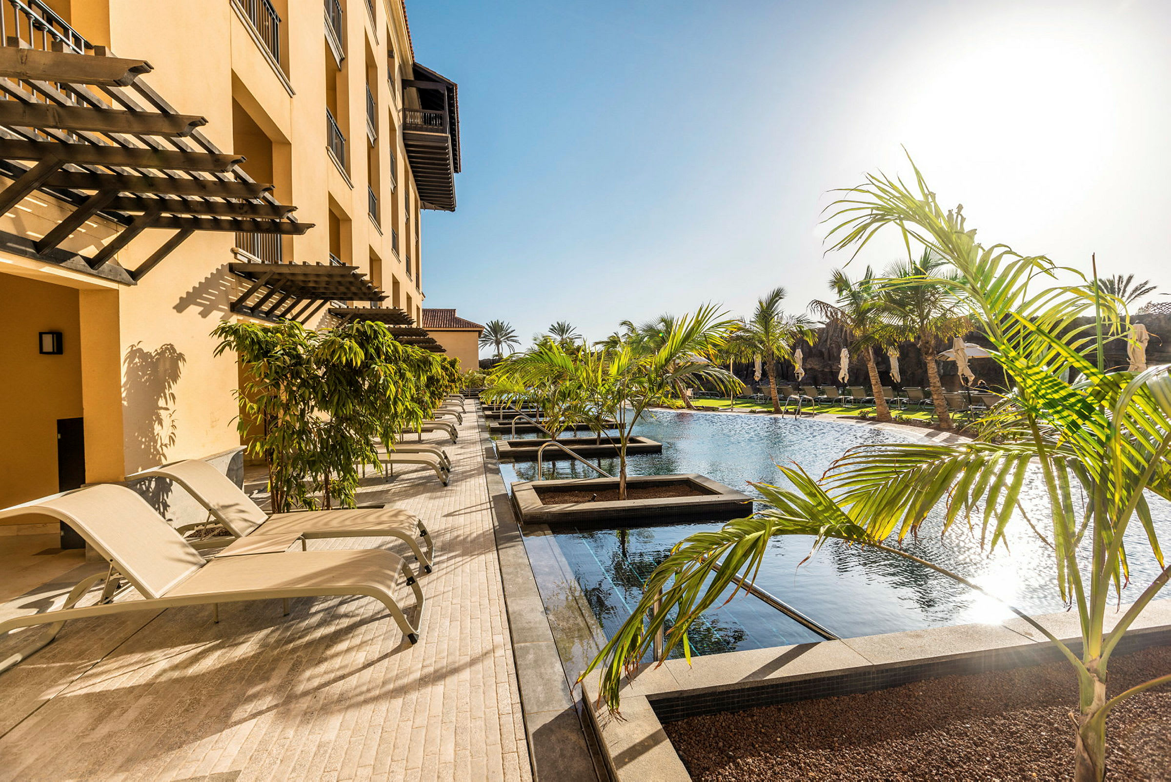 En pool med omgivande solstolar och palmer vid ett hotell. (AI-genererad text)