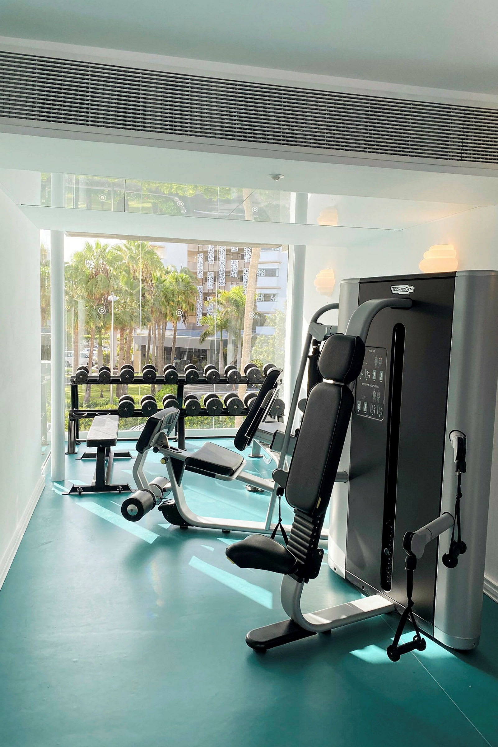 Bild av ett gym med träningsmaskiner, en bänk och vikter. Stora fönster med utsikt mot palmer. (AI-genererad text)