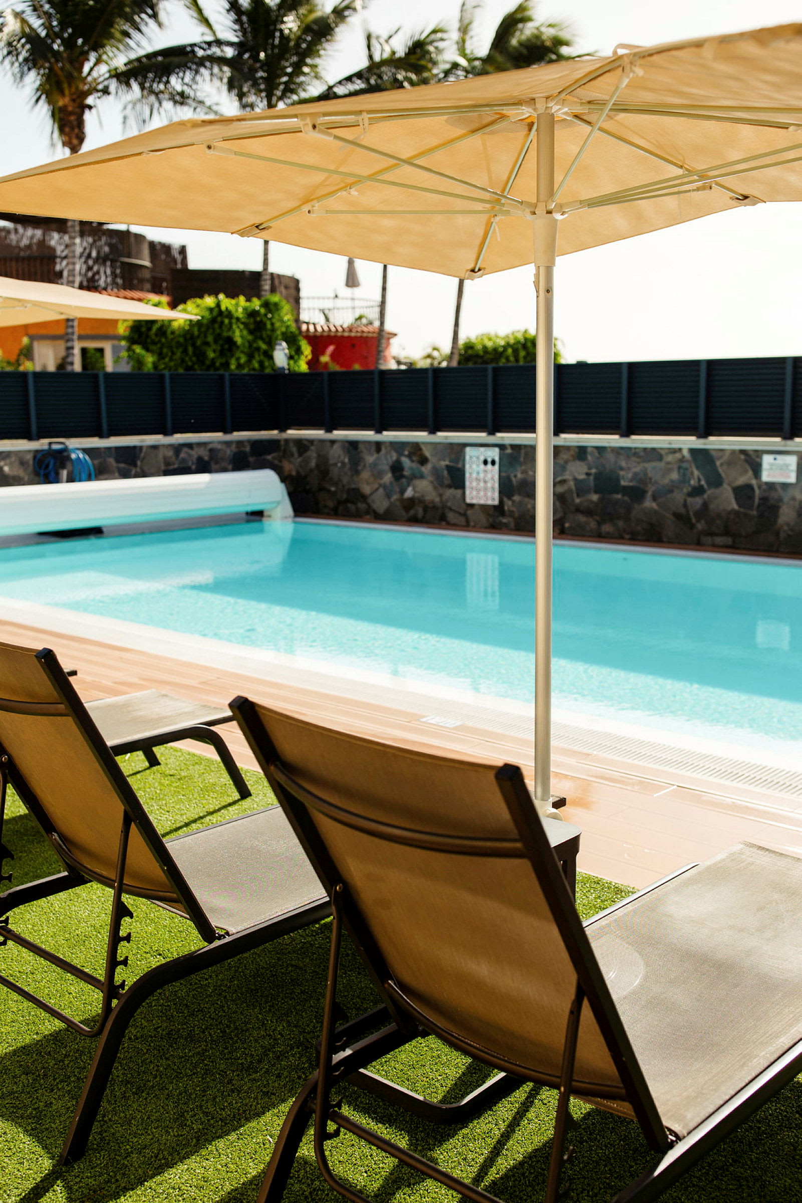 Solstolar vid en swimmingpool med parasoller och omgivning av tropiska träd. (AI-genererad text)