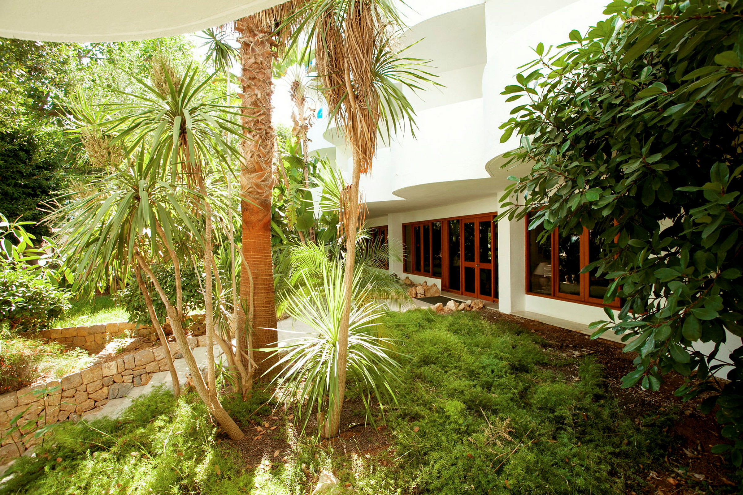 En trädgård med palmer och frodig vegetation framför ett hus med vita väggar och träfönster. (AI-genererad text)