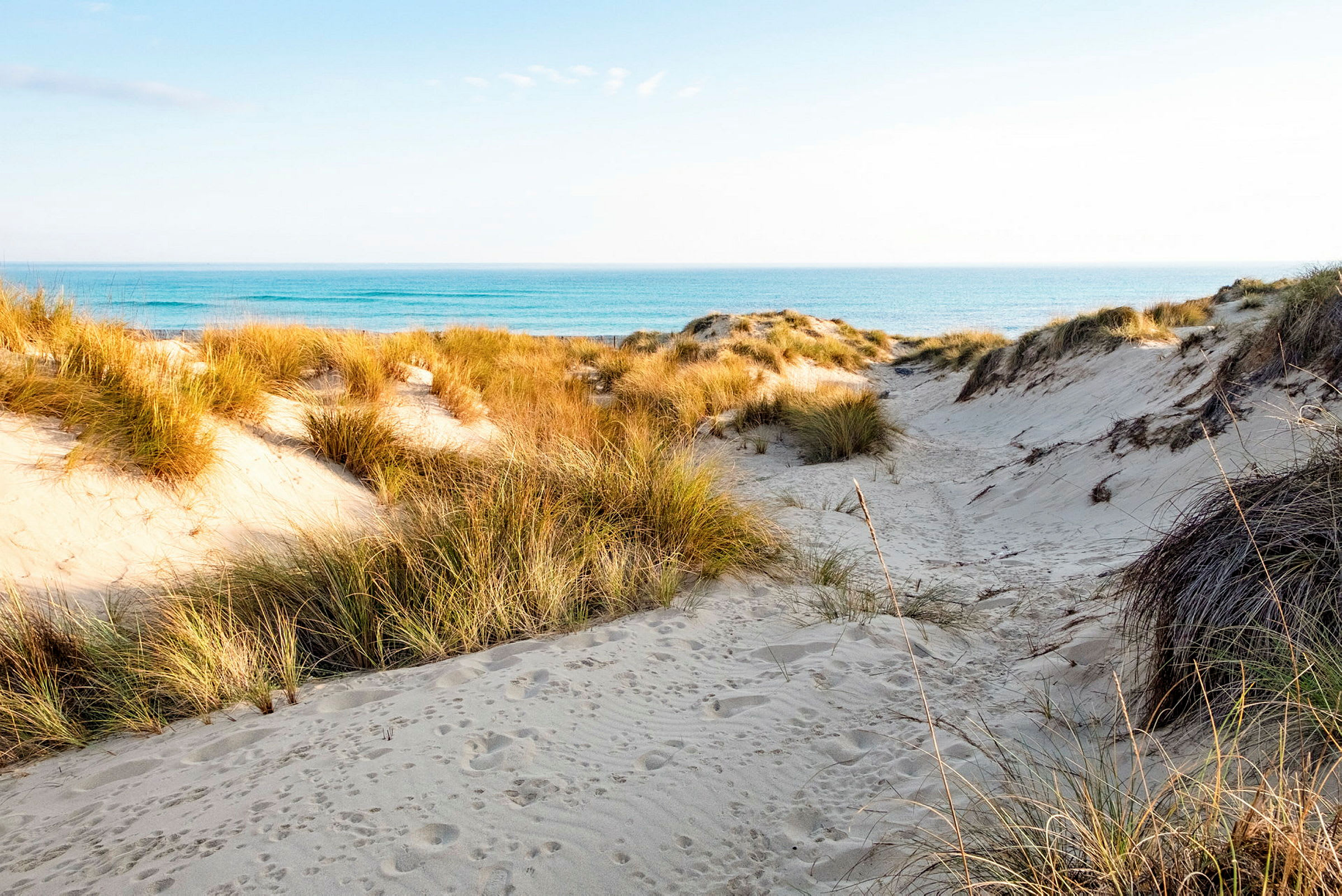 En sandig strand med gräsklädda sanddyner och hav i bakgrunden. (AI-genererad text)