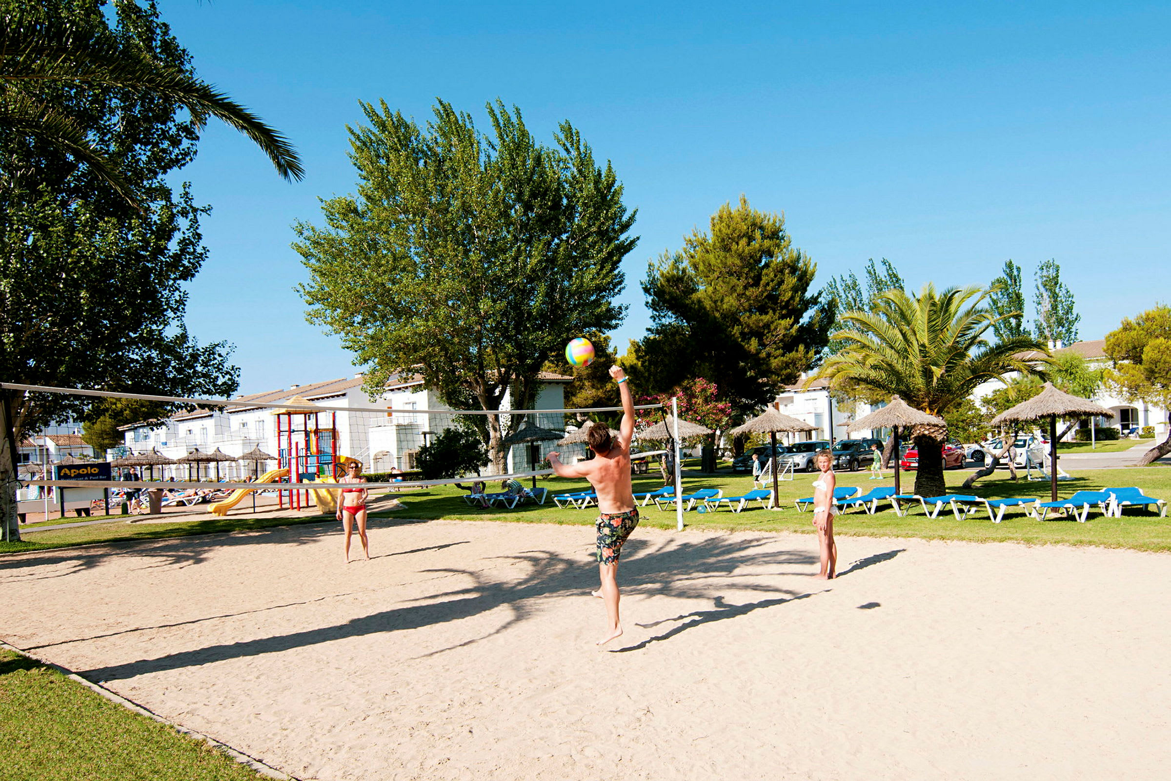 Personer spelar volleyboll på en sandplan med grönska och palmer i bakgrunden. (AI-genererad text)