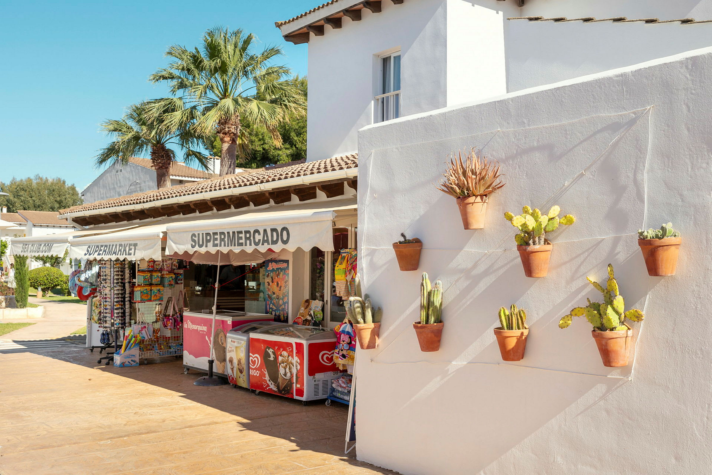 Bild av en vit byggnad med en butik med skylt "Supermercado". På väggen utanför är flera terrakottakrukor med kaktusar placerade. (AI-genererad text)
