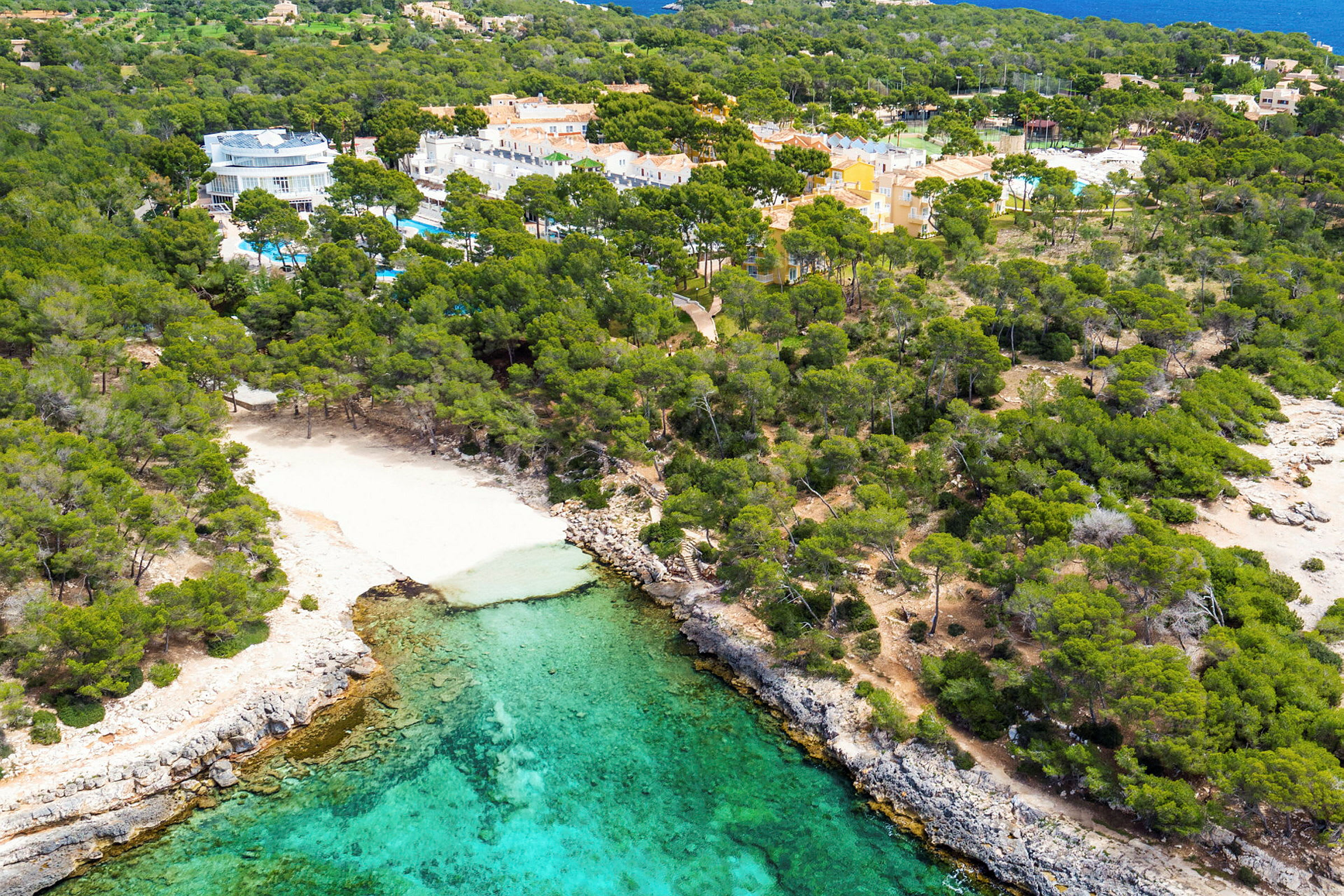 Flygfoto över en skogsklädd kust med en liten sandstrand och turkost vatten. (AI-genererad text)