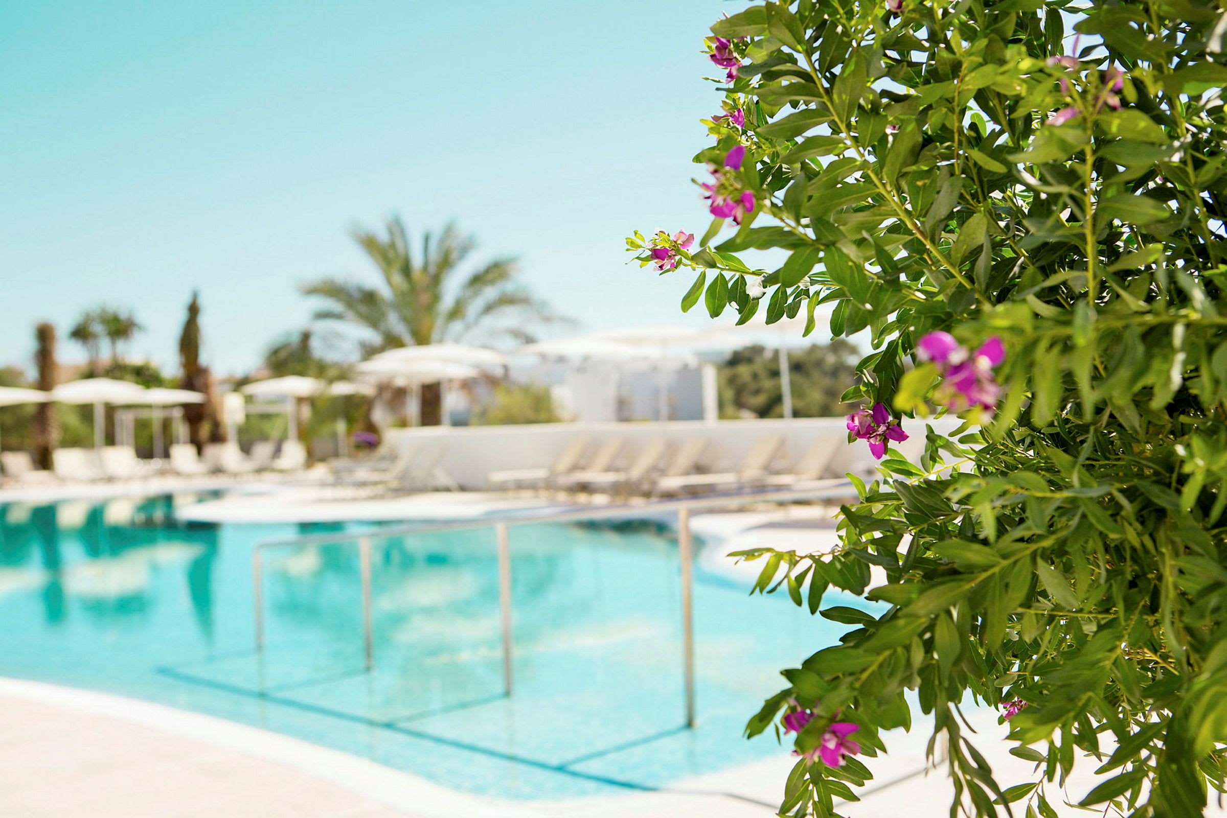 Blommande buskar i förgrunden med en pool och solstolar i bakgrunden. (AI-genererad text)