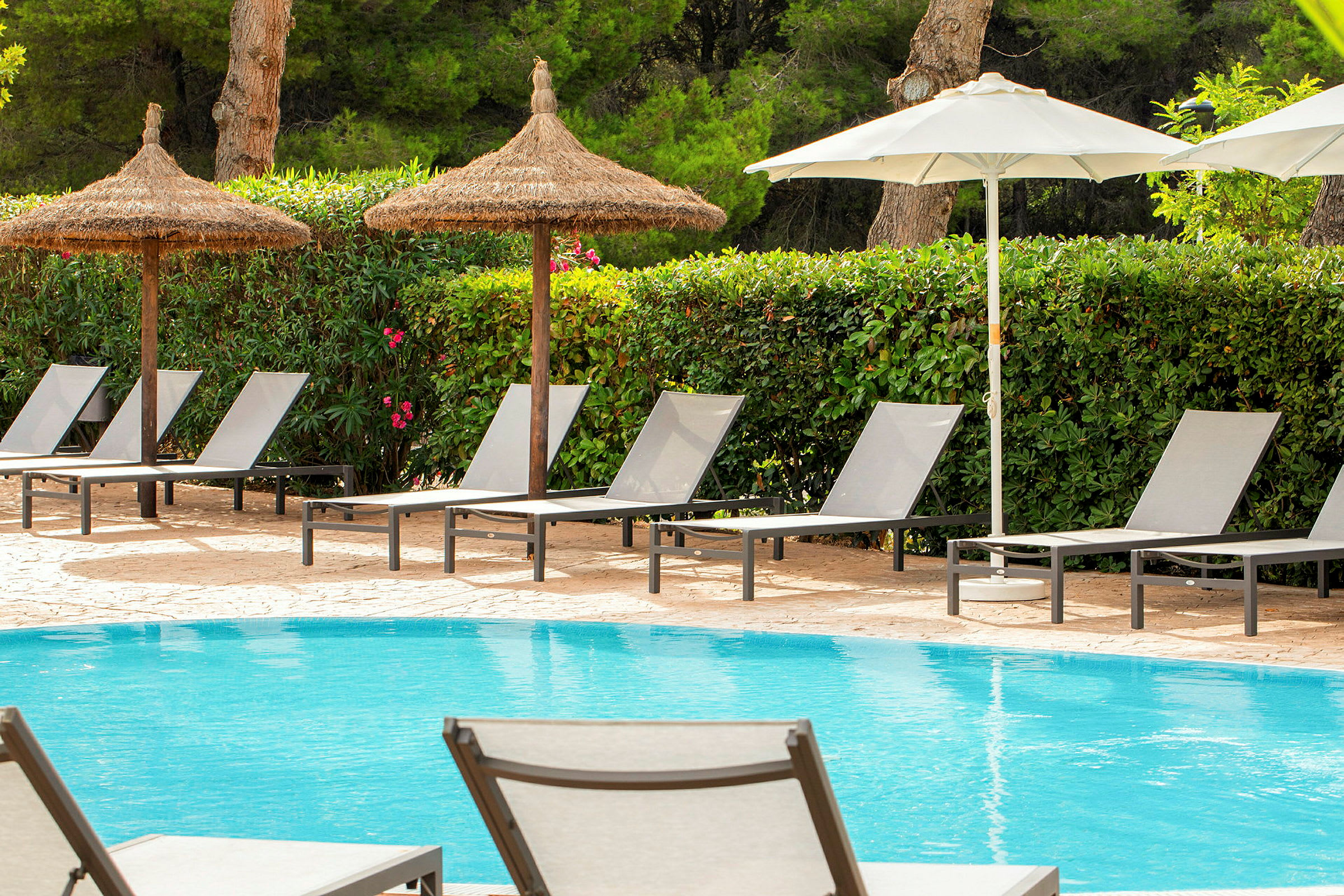 Solstolar och parasoller vid en pool med gröna buskar i bakgrunden. (AI-genererad text)