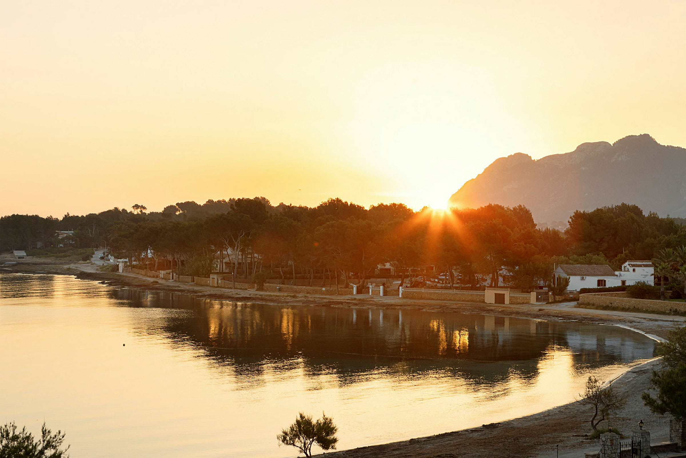 Solnedgång över en strand med träd och byggnader i bakgrunden. (AI-genererad text)