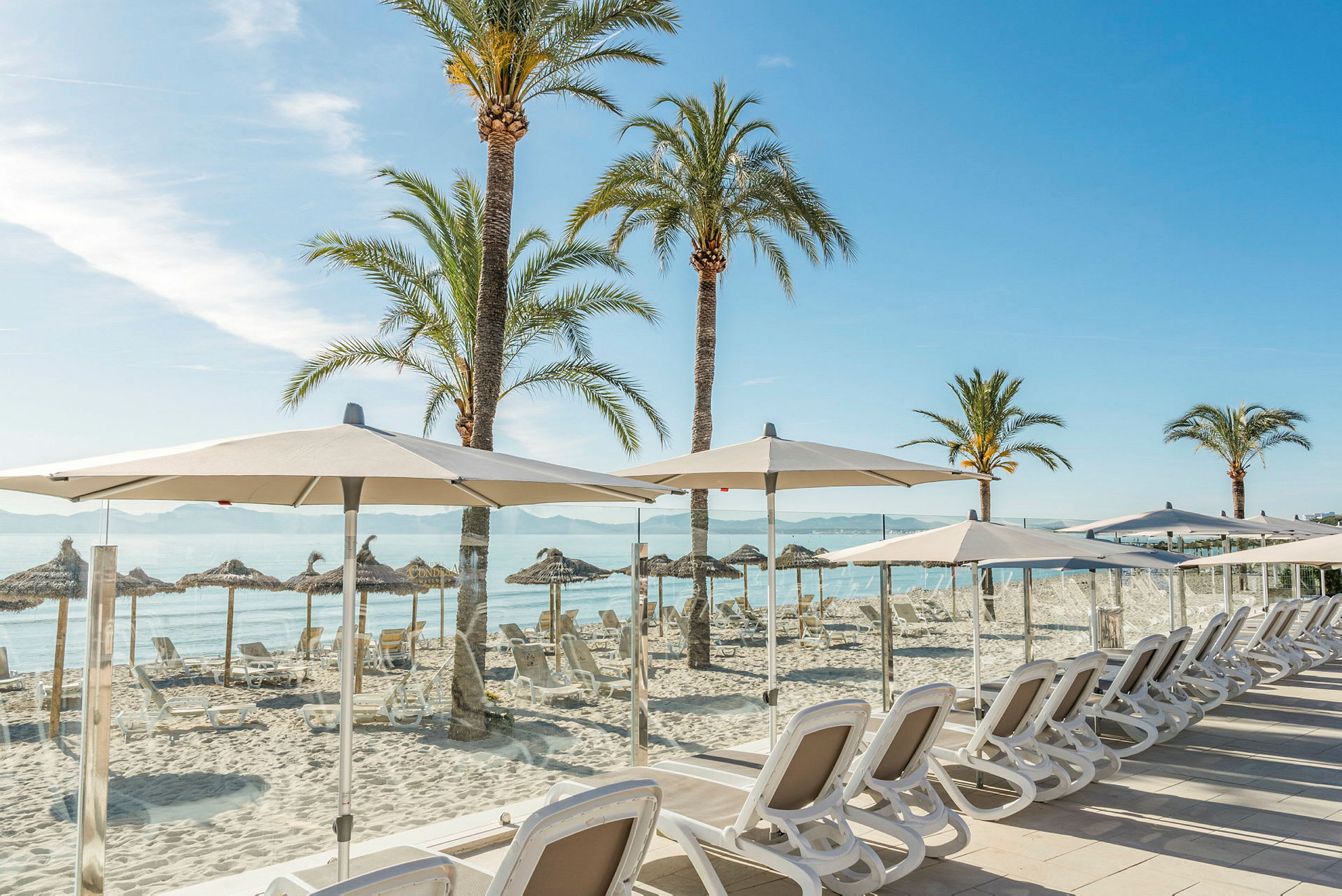 Flera solstolar och parasoller står uppsatta på en sandstrand med palmer i bakgrunden. (AI-genererad text)