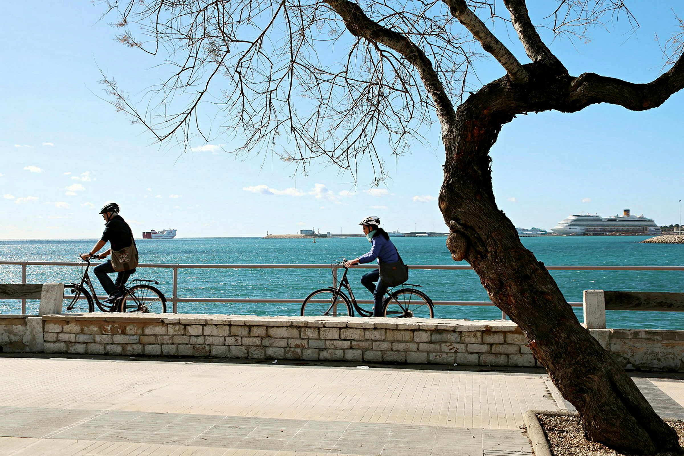 Två personer cyklar längs strandpromenaden vid havet, med ett träd i förgrunden och fartyg i bakgrunden. (AI-genererad text)