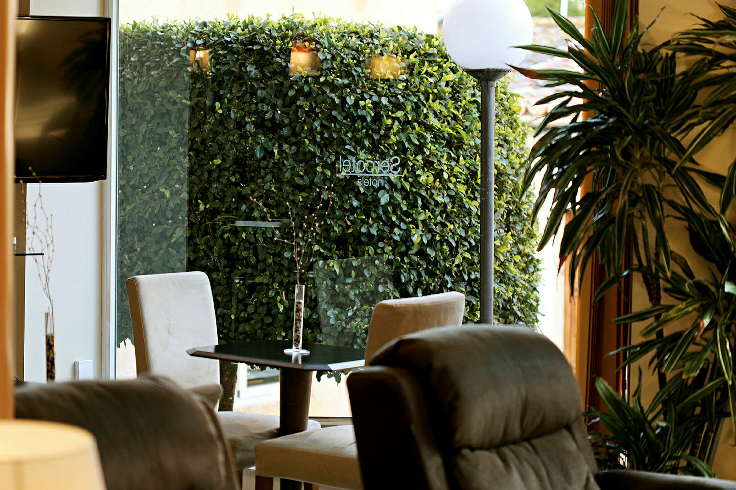 En sittgrupp inomhus med skinnfåtöljer och en liten bord med stolar nära en glasvägg med utsikt över en grön häck. En rund gatlykta och andra växter syns också. (AI-genererad text)