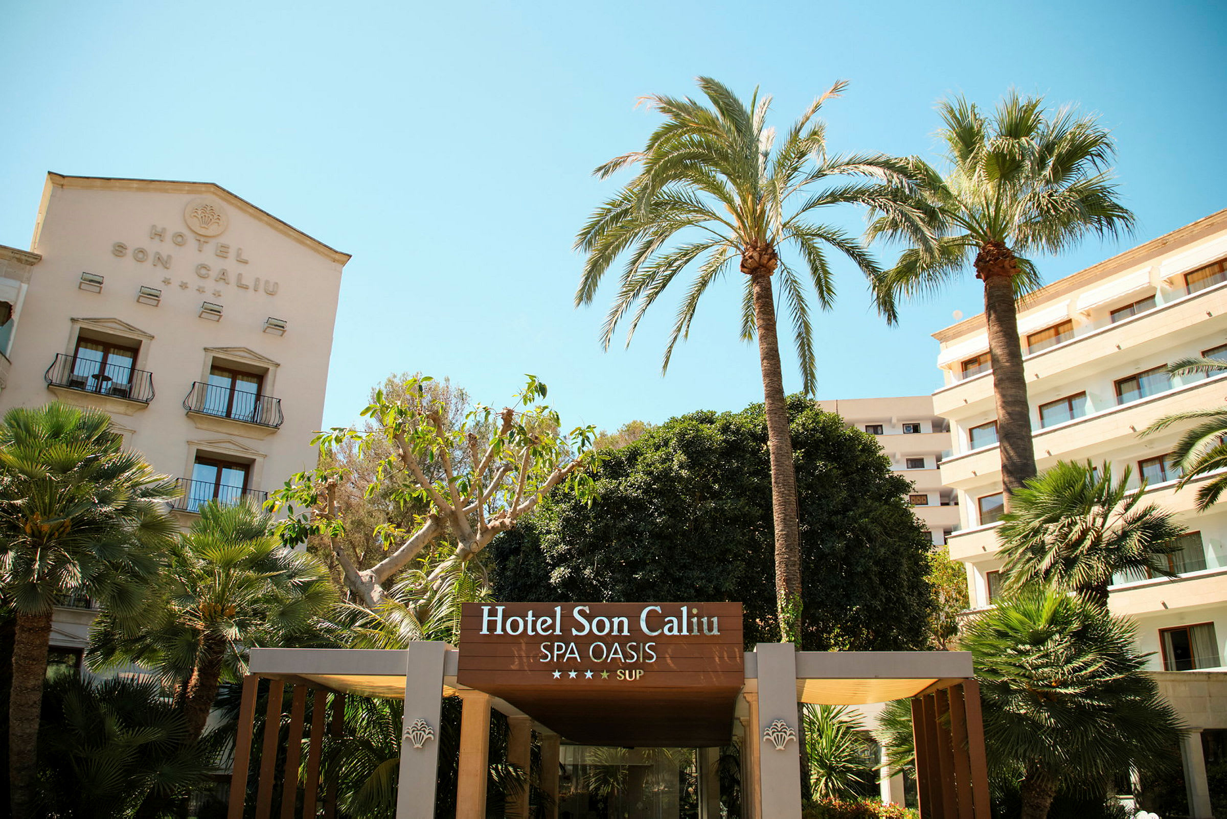 Hotellet Son Caliu Spa Oasis med palmer och byggnader i bakgrunden. (AI-genererad text)