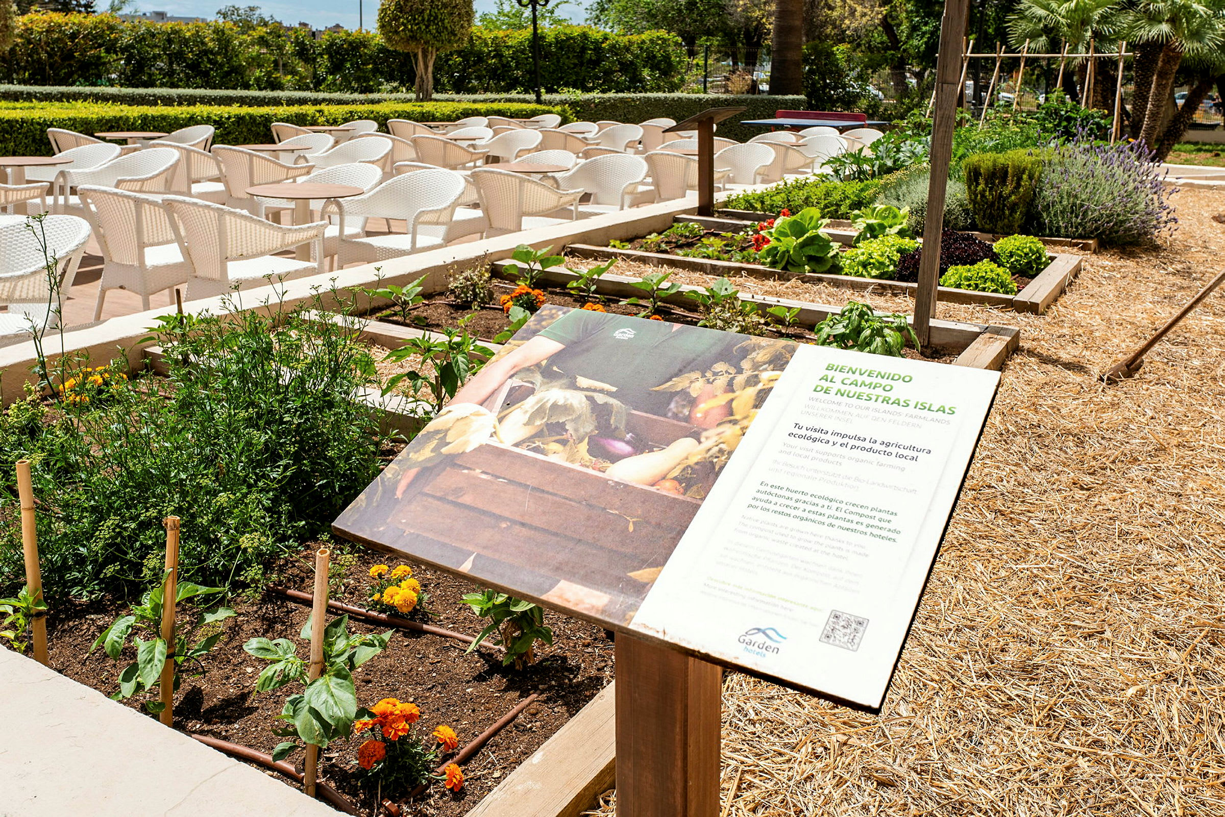 En odlingslott med växter och blommor samt en informationsskylt. Bakom syns bord och stolar på en terrass. (AI-genererad text)