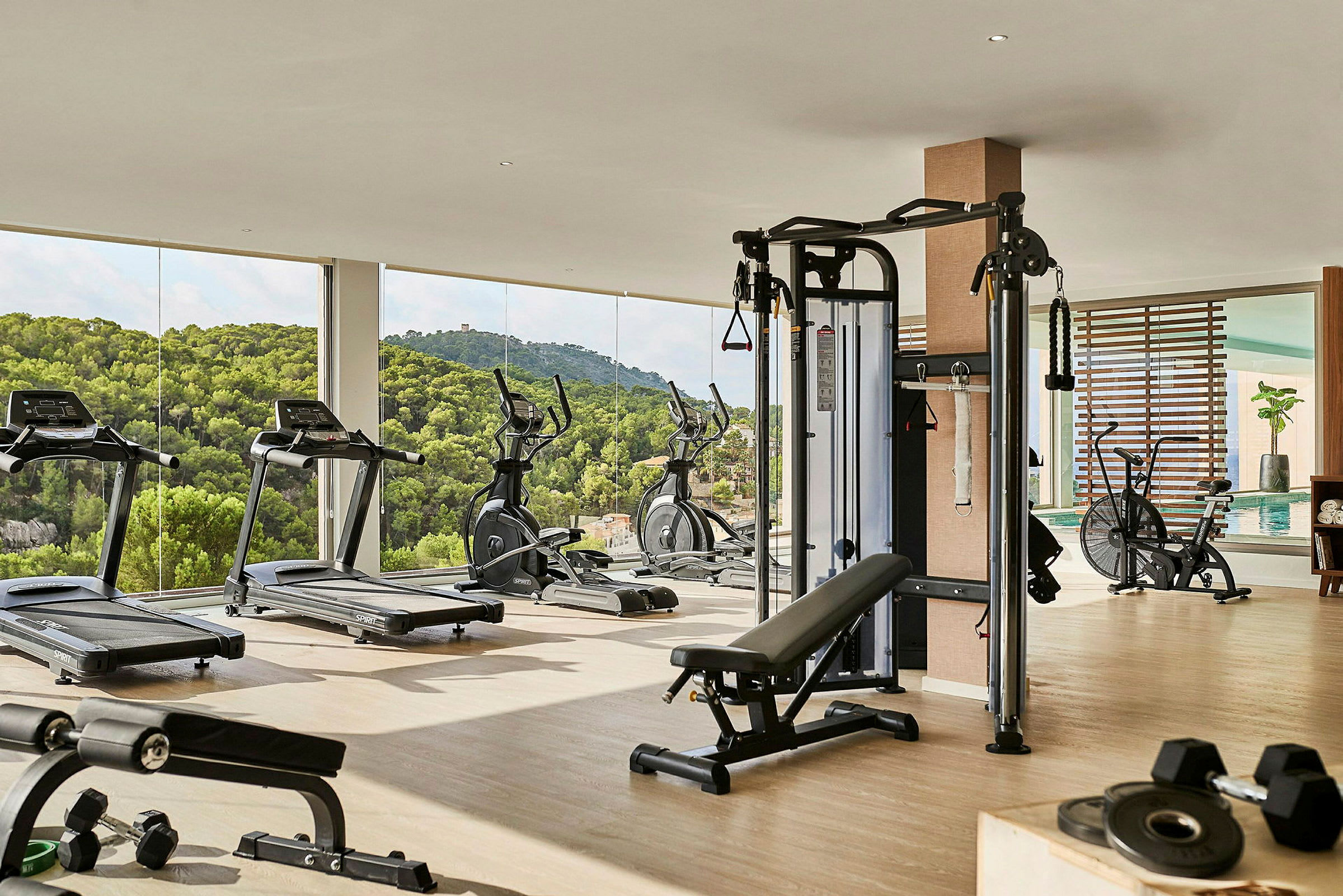 Gym med träningsmaskiner, fria vikter och utsikt över grönskande landskap. (AI-genererad text)