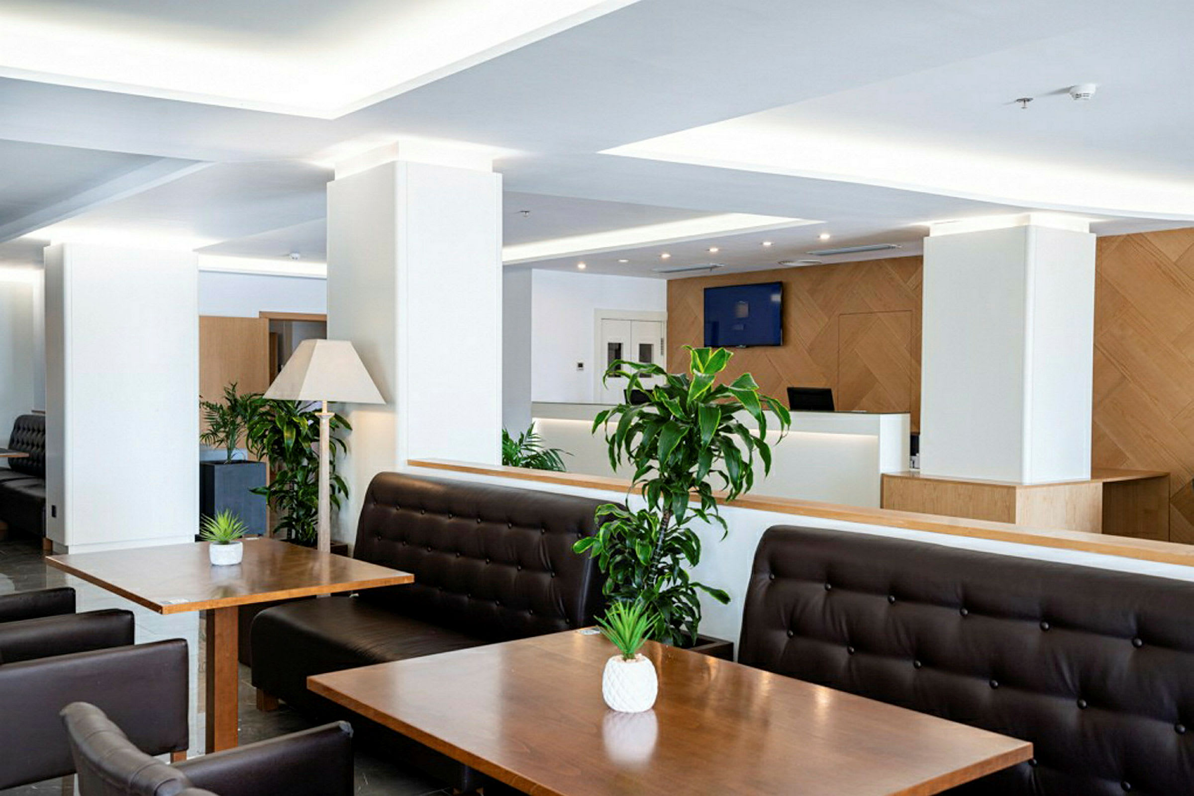 En reception i modern stil med sittplatser, bord och gröna växter. (AI-genererad text)