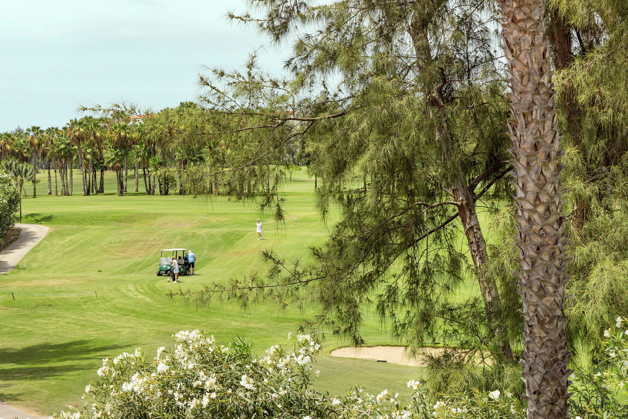 En golfbana med en golfbil och spelare, omgiven av grönska och palmer. (AI-genererad text)