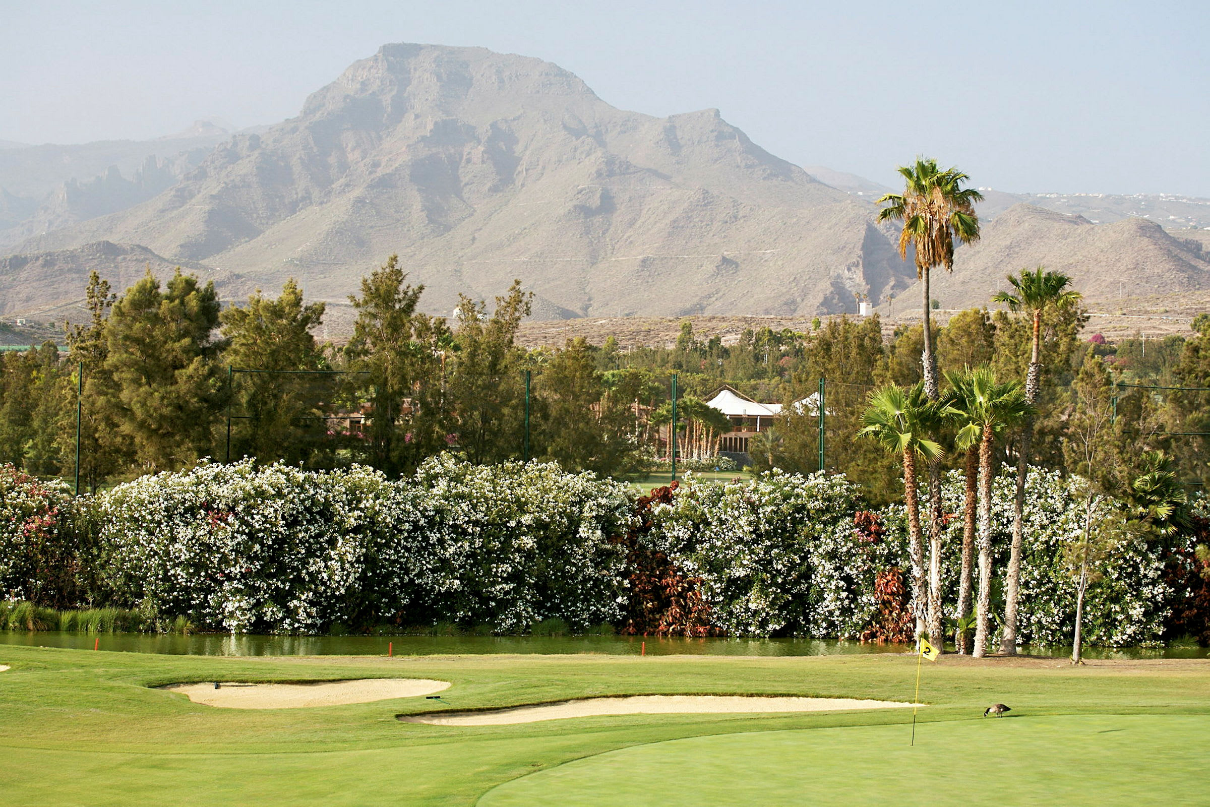 En golfbana med sandbunkrar och en flagga, omgiven av blommande buskar och palmer, med berg i bakgrunden. (AI-genererad text)