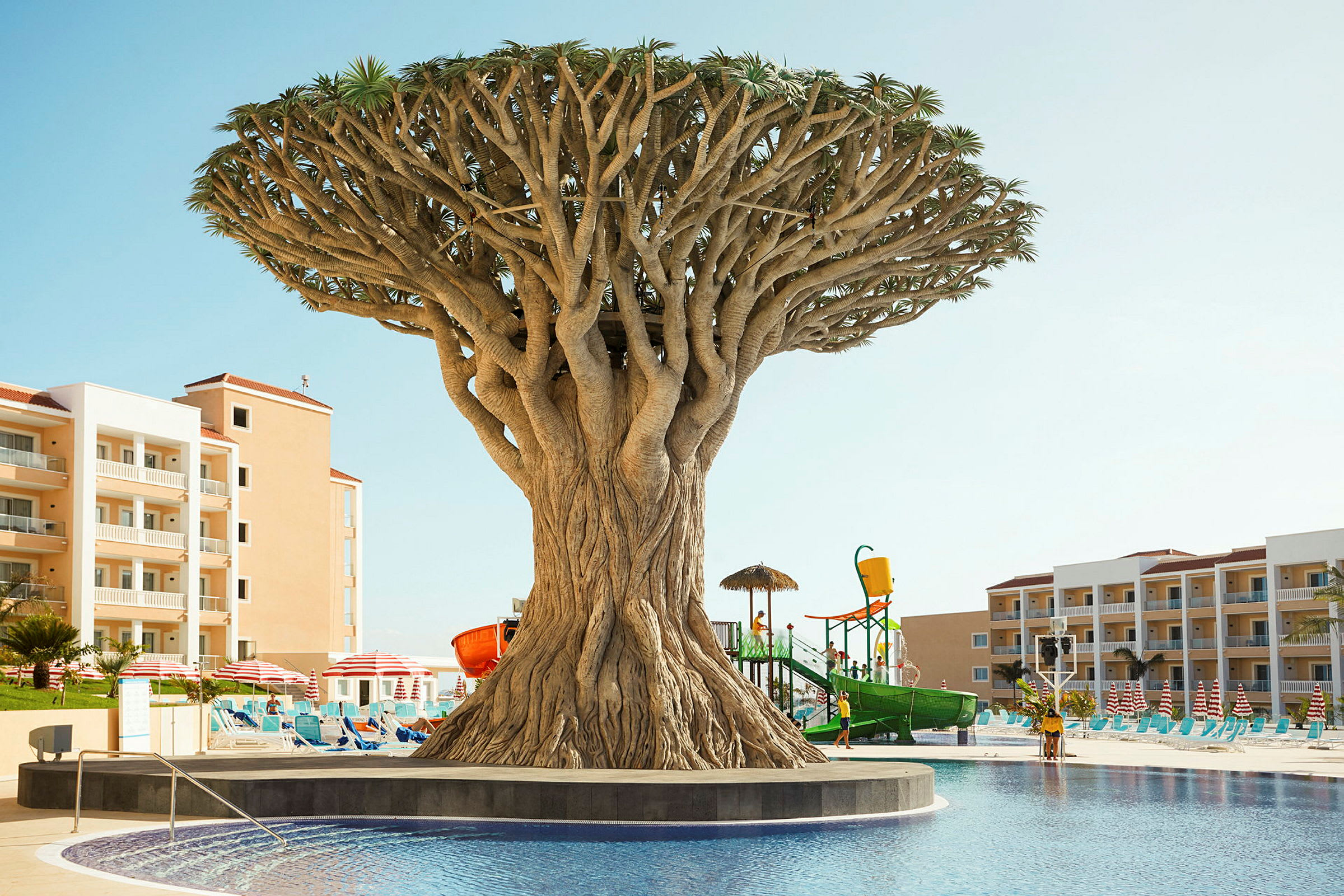 Bild av en stor pool med ett dekorativt träd i fokus samt hotellbyggnader i bakgrunden. Solstolar och parasoller omger området. (AI-genererad text)
