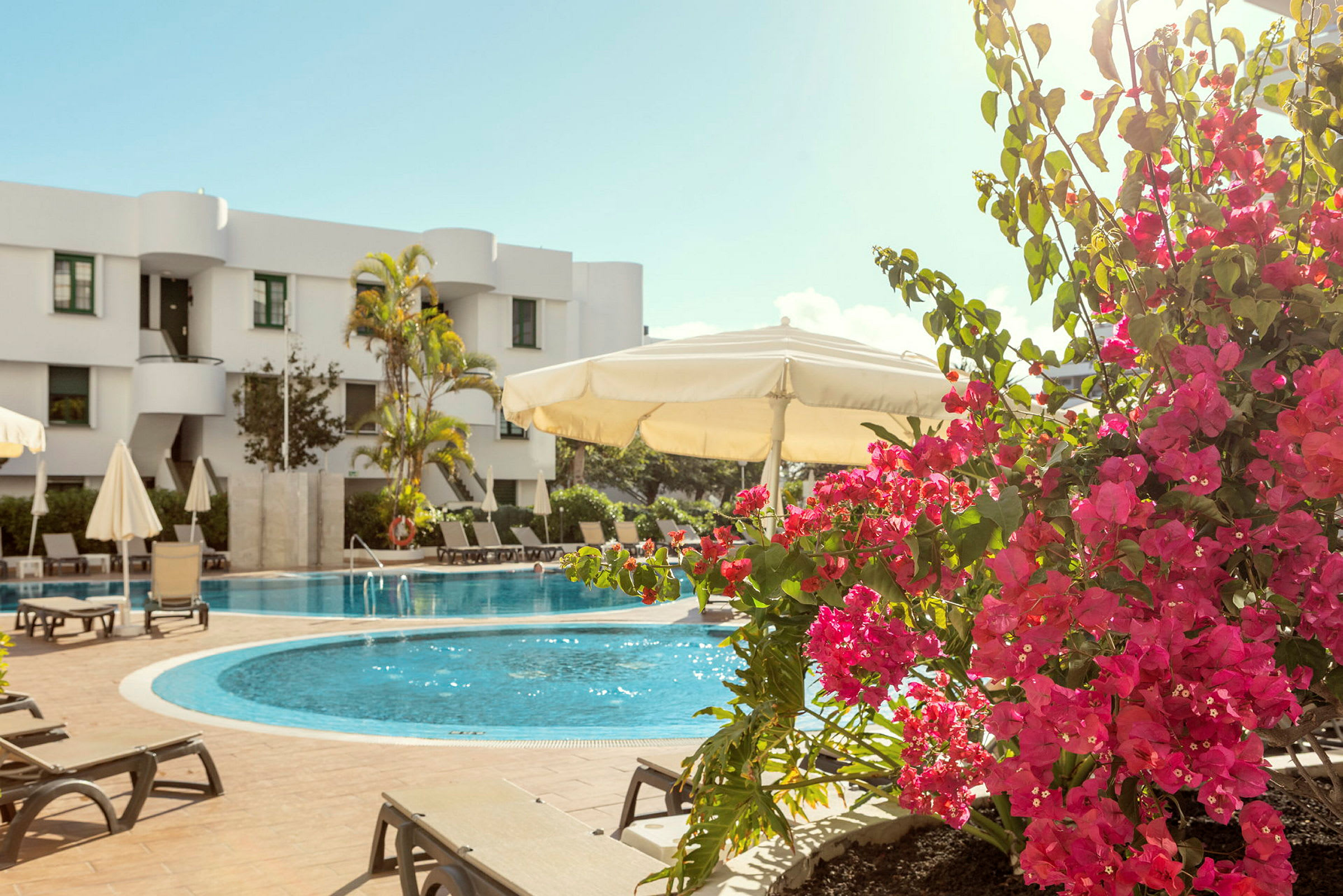 Vit byggnad bakom en pool med solstolar och rosa blommor i förgrunden. (AI-genererad text)