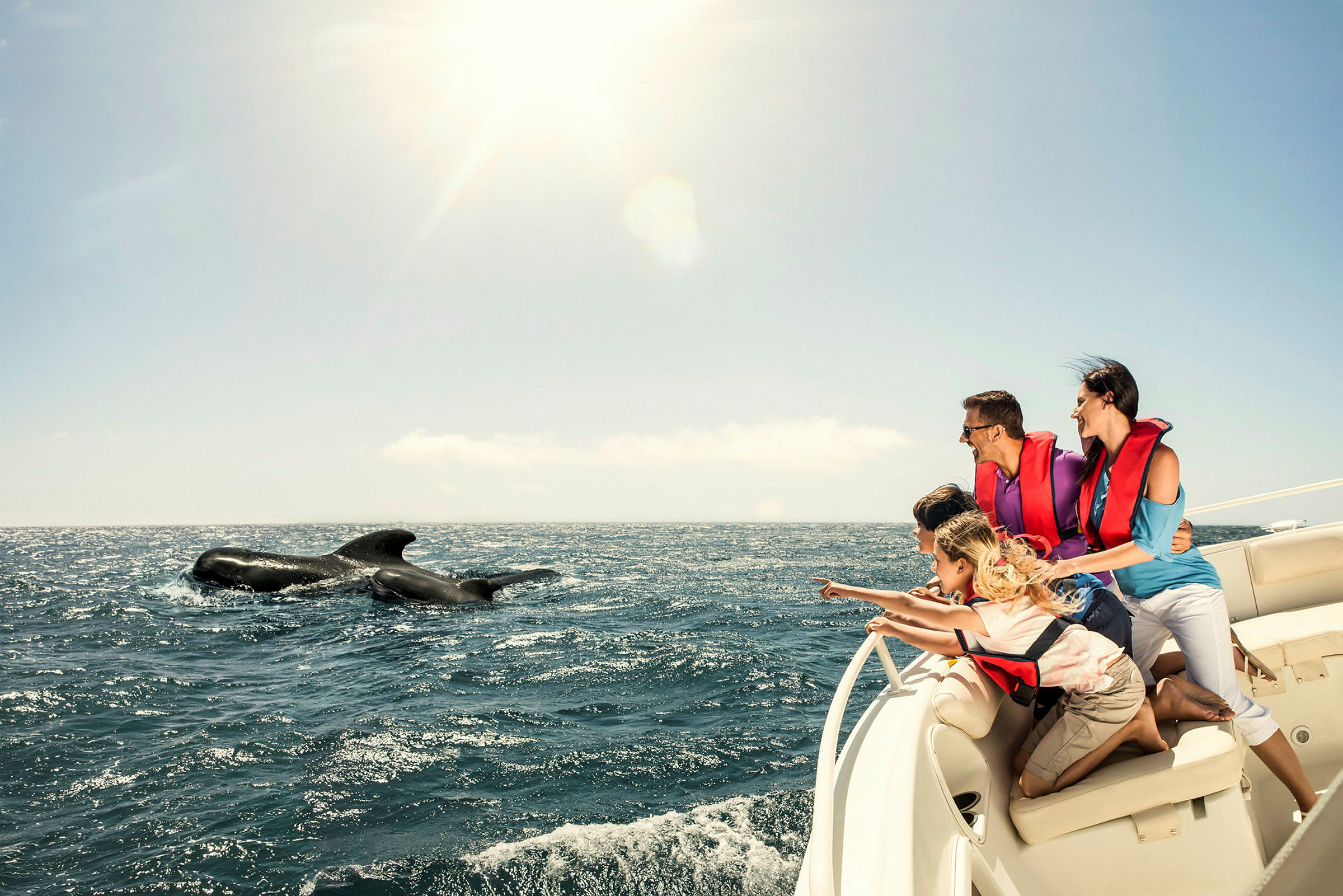 Personer på en båttur observerar valar i havet. (AI-genererad text)