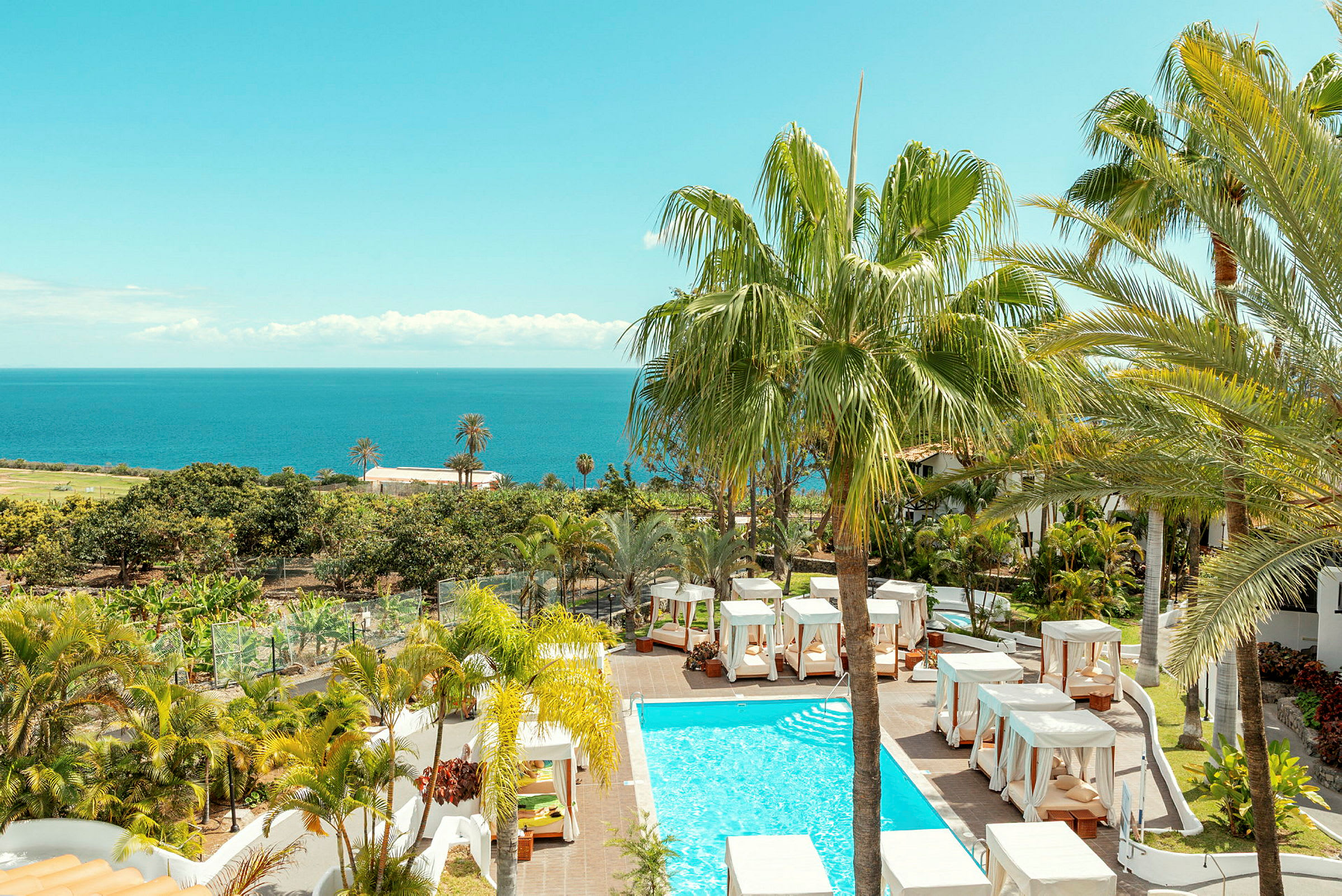 Bild av en hotellpool omgiven av palmer med en vy över havet i bakgrunden. (AI-genererad text)