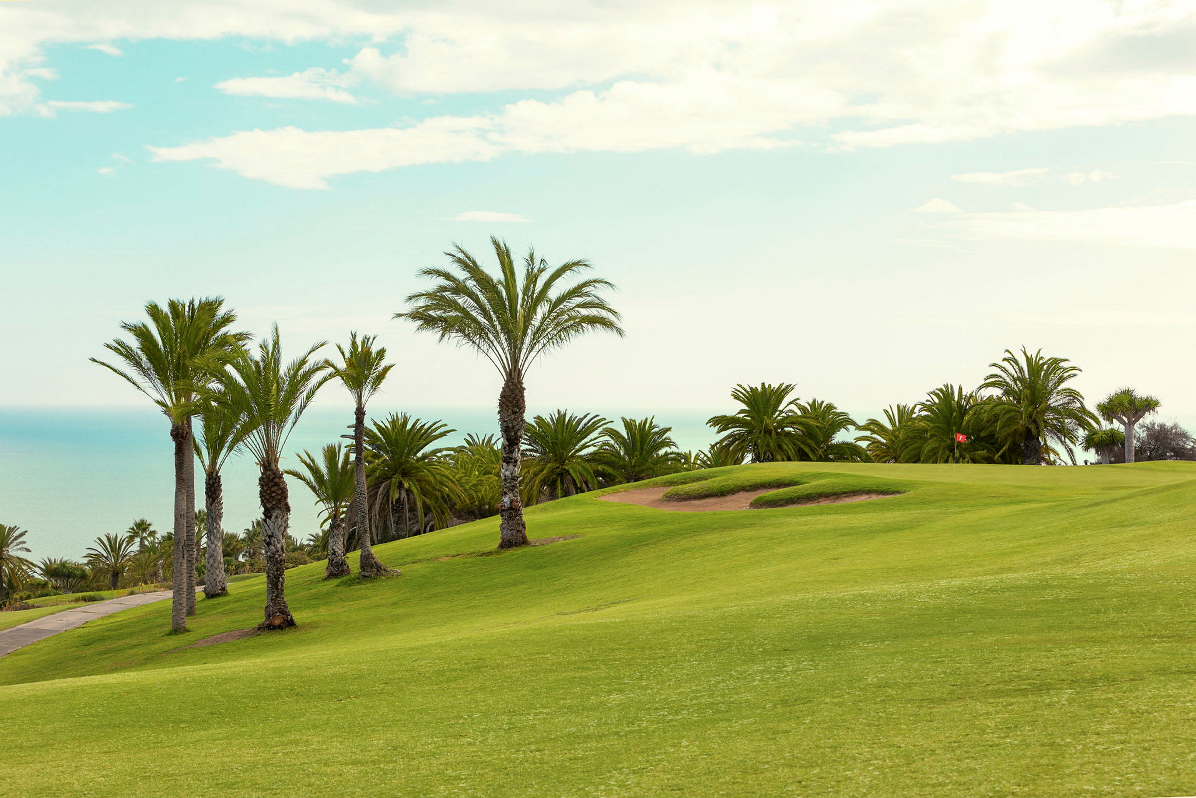 En grön golfbana med palmer och hav i bakgrunden. (AI-genererad text)