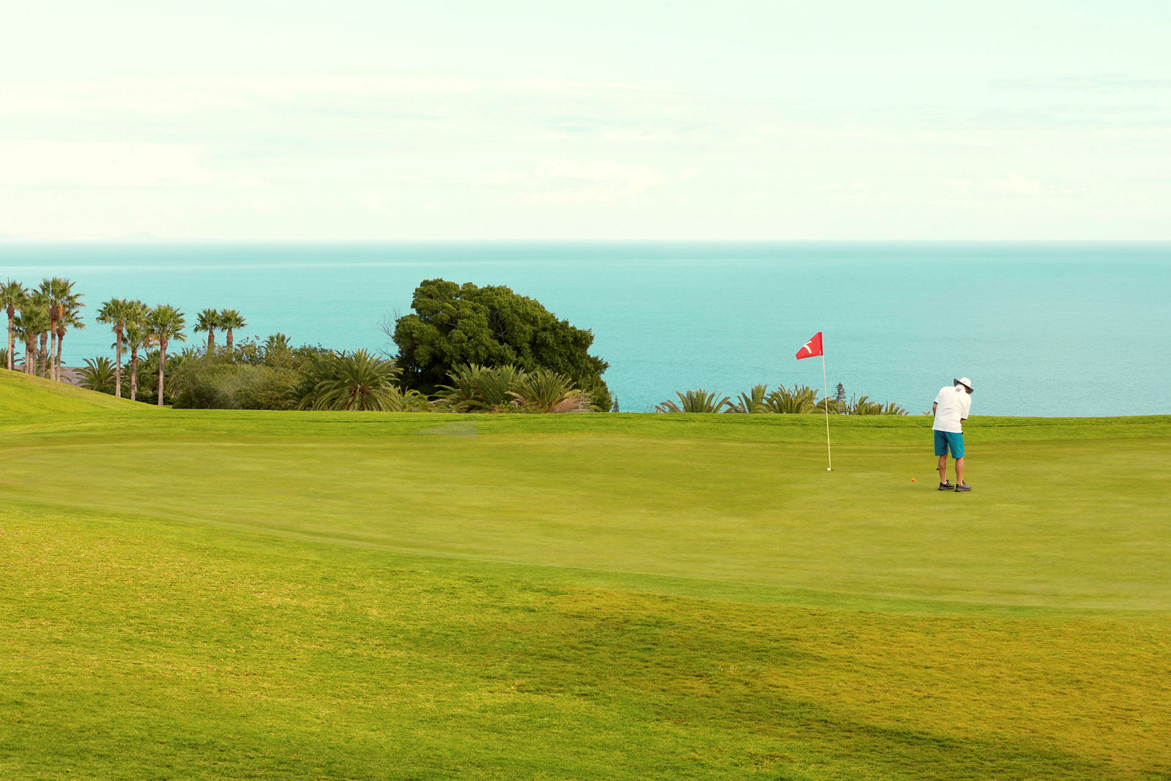 En person spelar golf på en grön bana med havet i bakgrunden. (AI-genererad text)