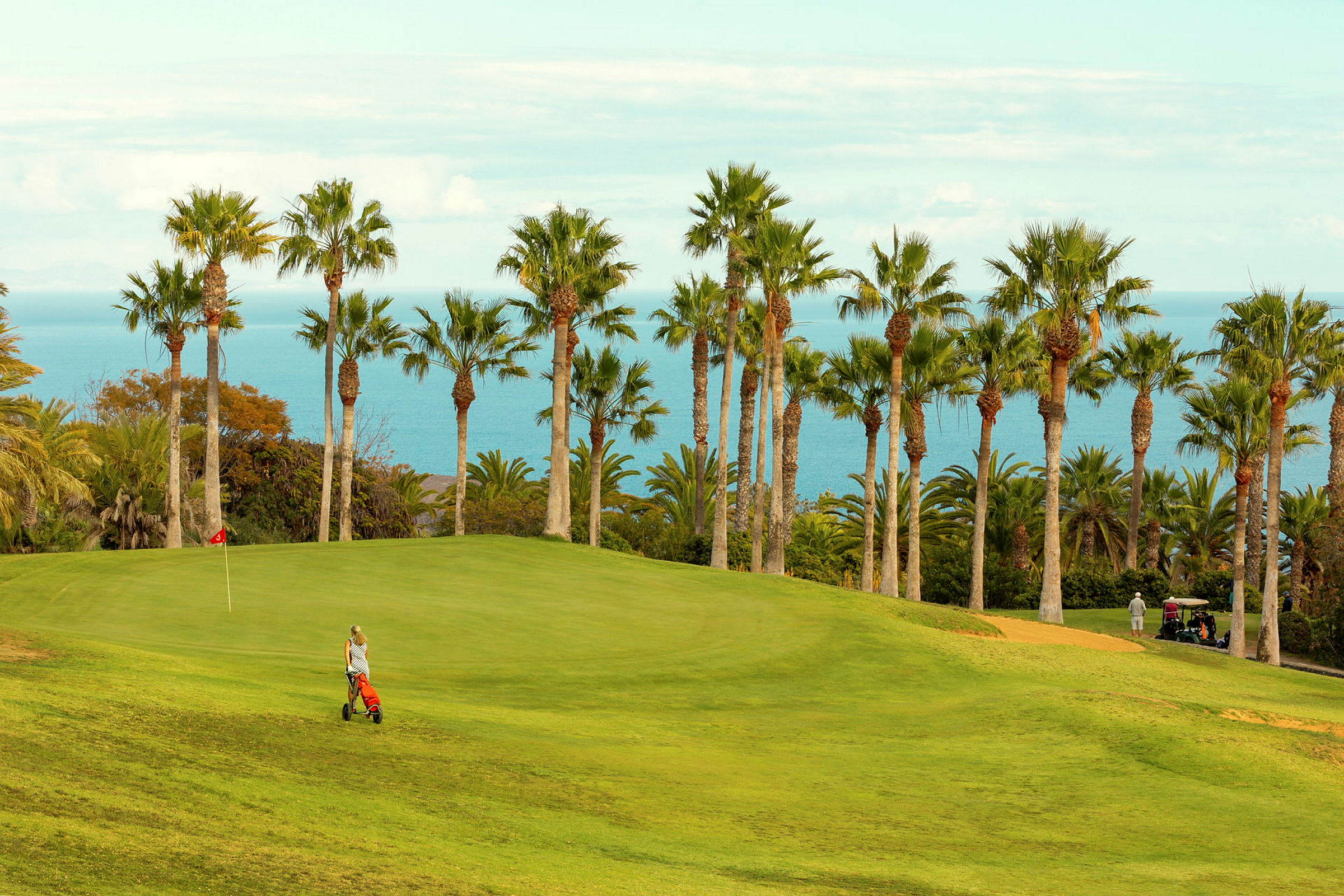 En golfbana med en flagga och några palmer vid havet. (AI-genererad text)