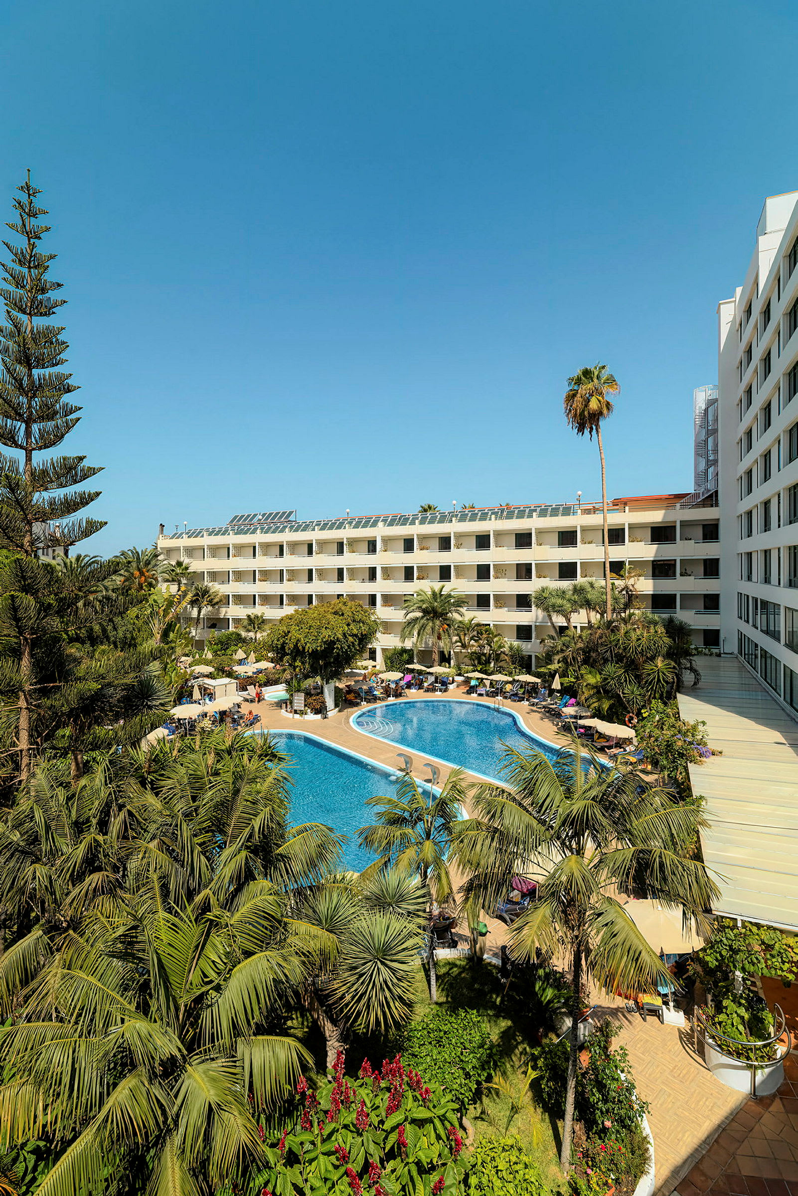 Hotellområde med pool och omgivande växter. (AI-genererad text)