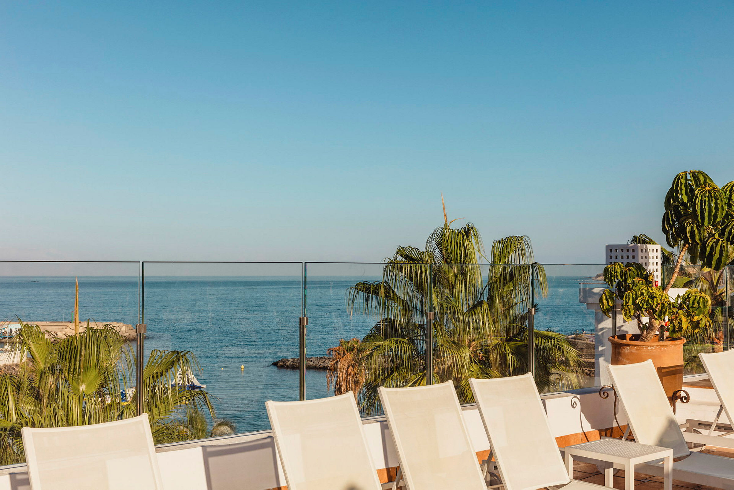 Solstolar på en terrass med utsikt över havet och palmer. (AI-genererad text)