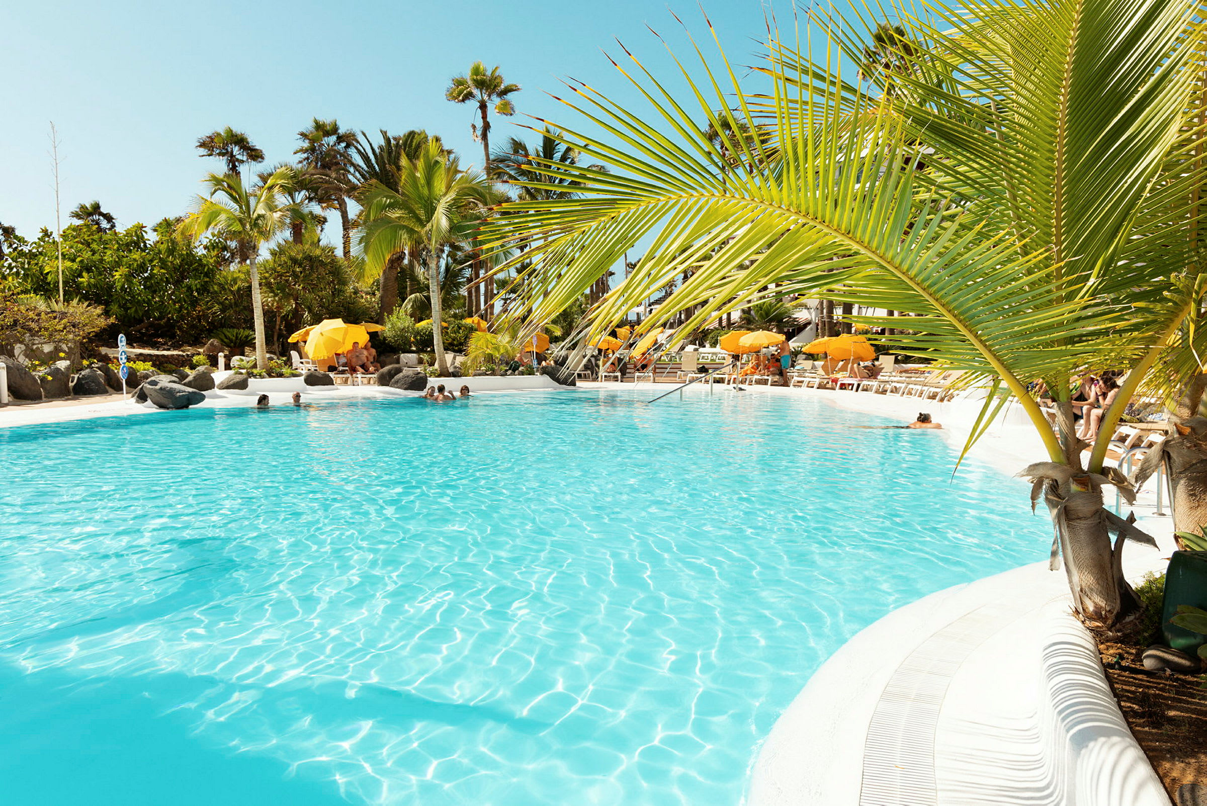 Swimmingpool med solstolar och parasoller, omgiven av tropiska palmer. (AI-genererad text)