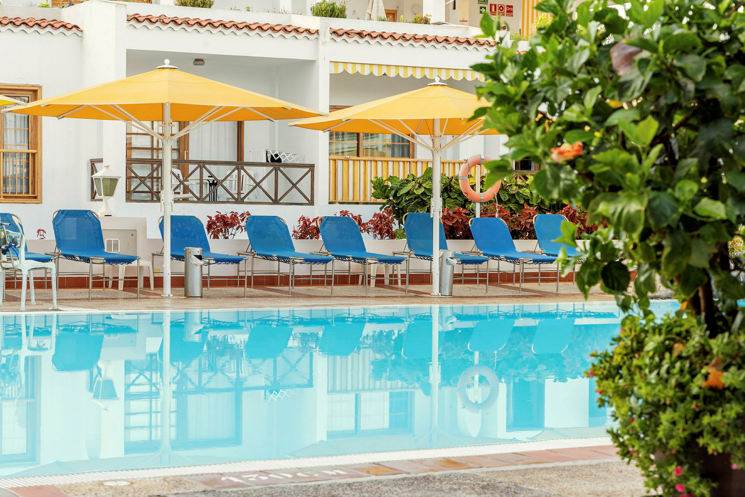 Solstolar vid en pool med gula parasoller och gröna växter i förgrunden. (AI-genererad text)